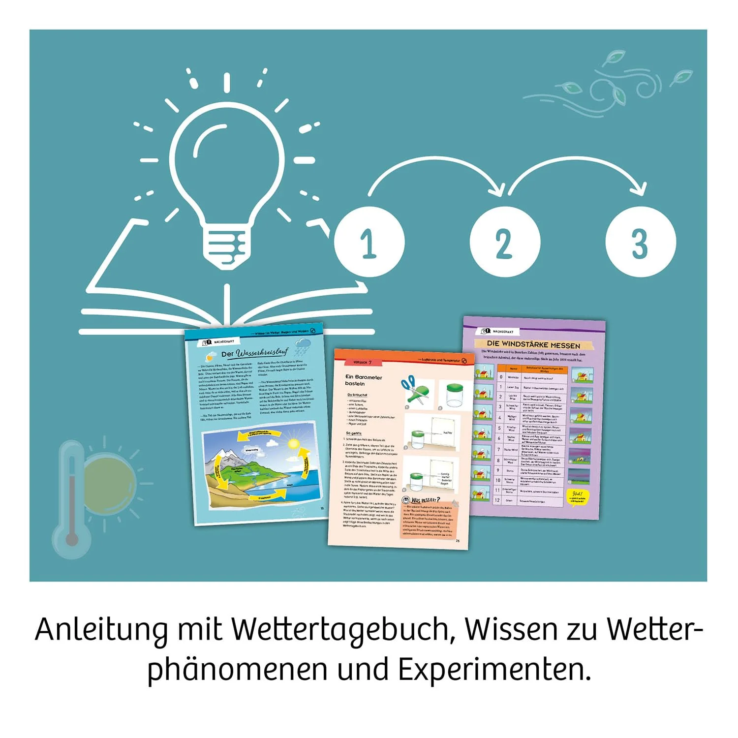Vorschaubild 4