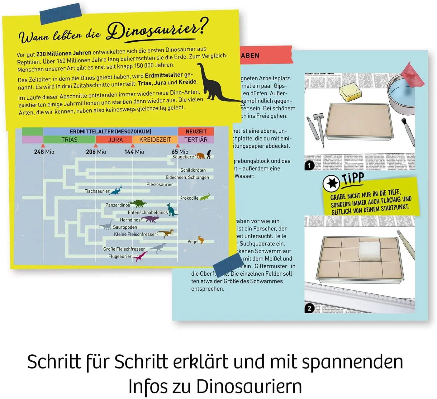 Vorschaubild 5