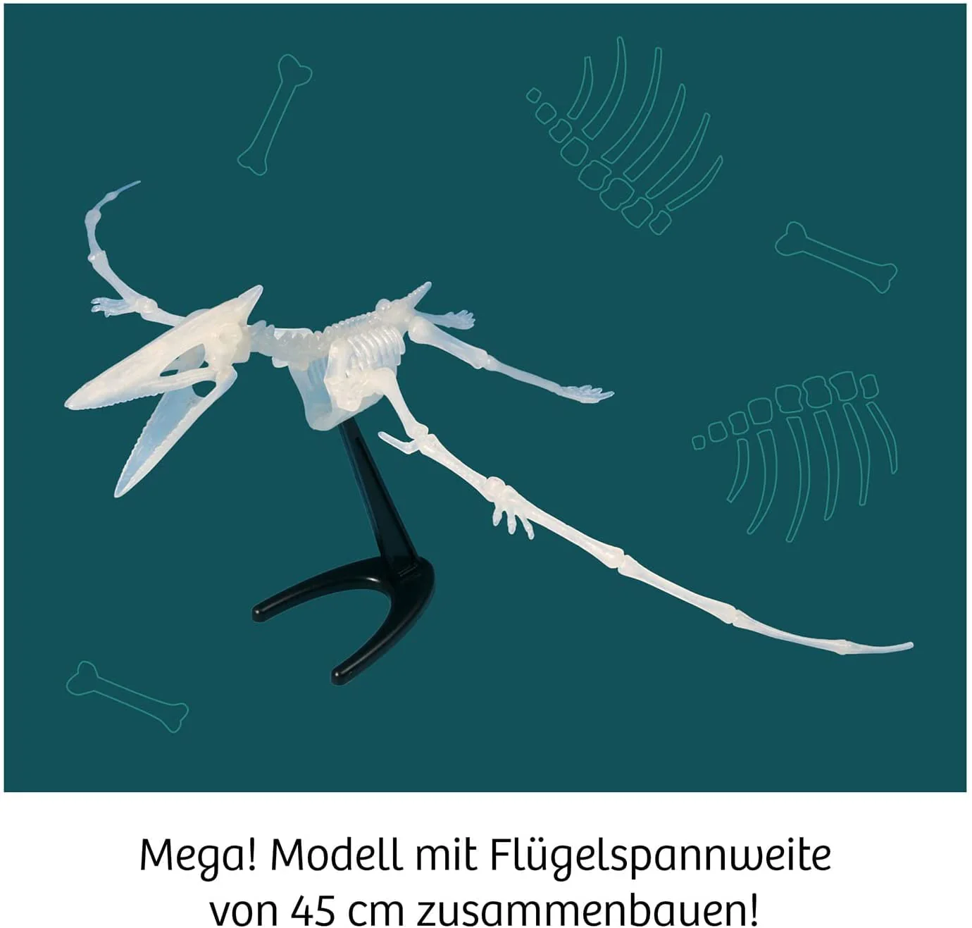 Vorschaubild 6