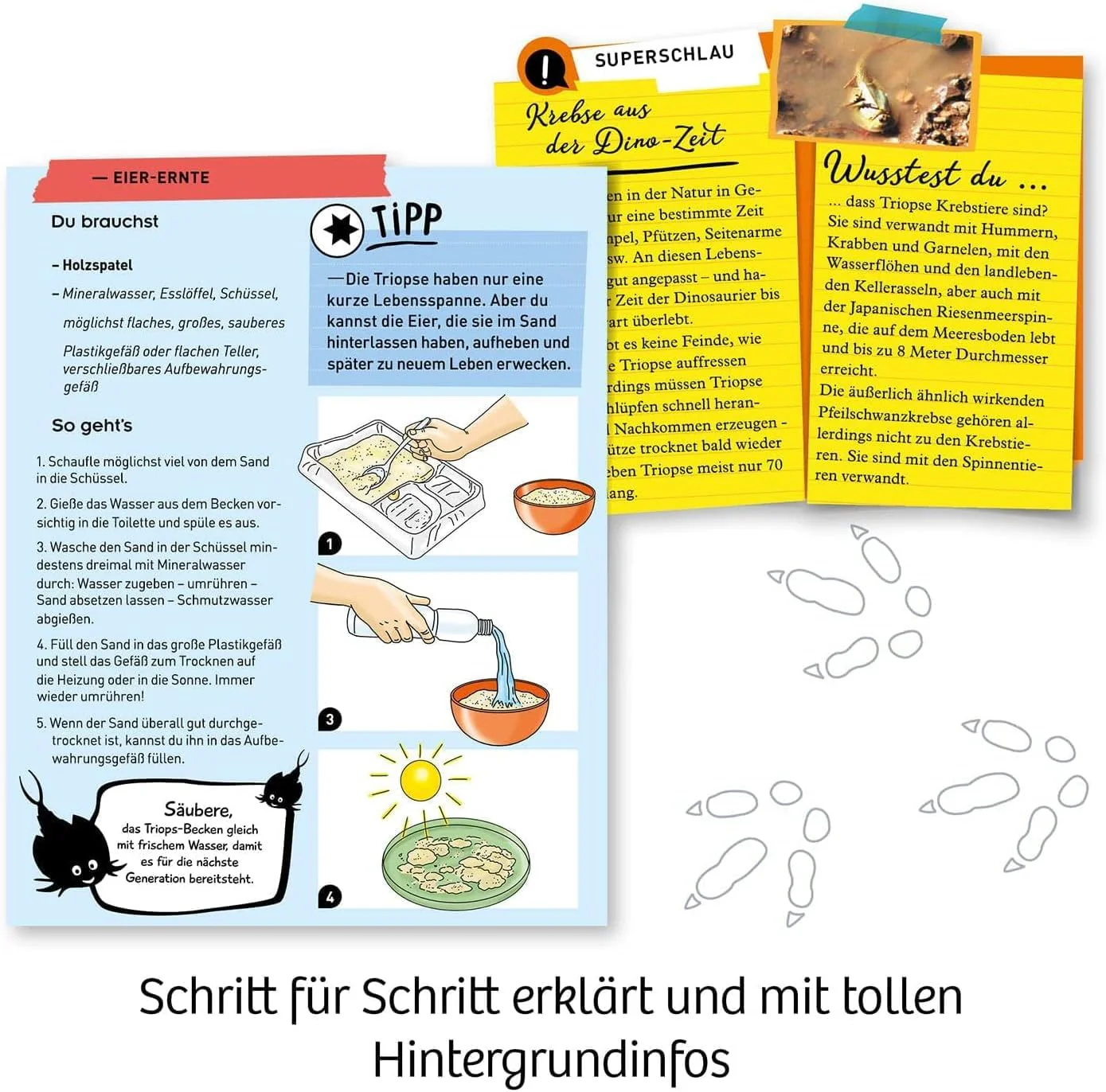 Vorschaubild 3