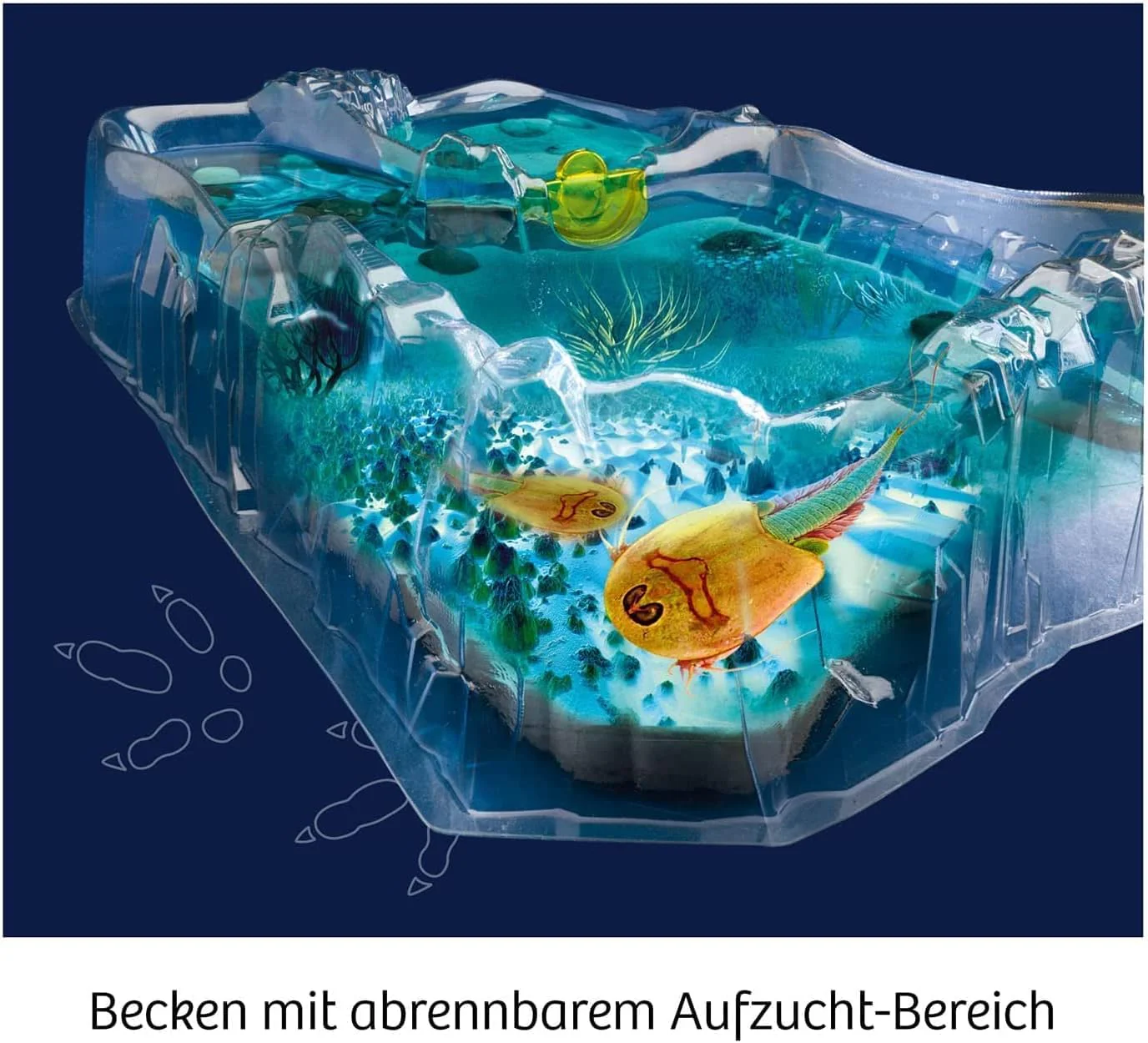 Vorschaubild 4