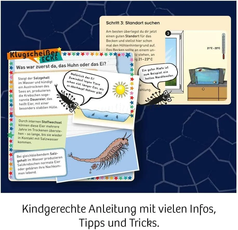 Vorschaubild 5