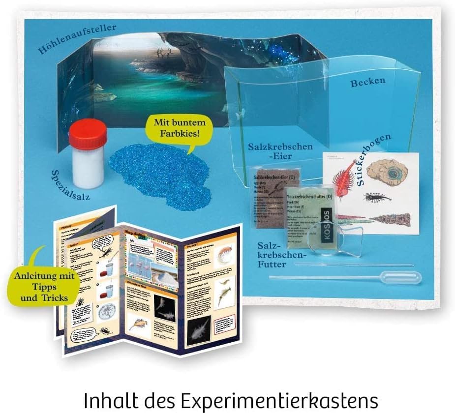 Vorschaubild 7