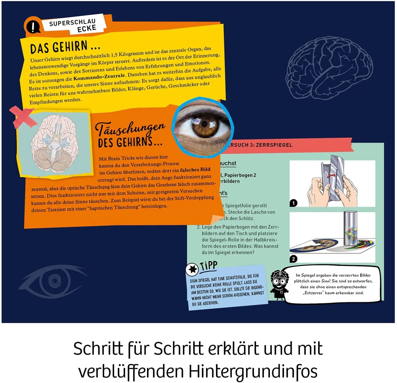 Vorschaubild 3