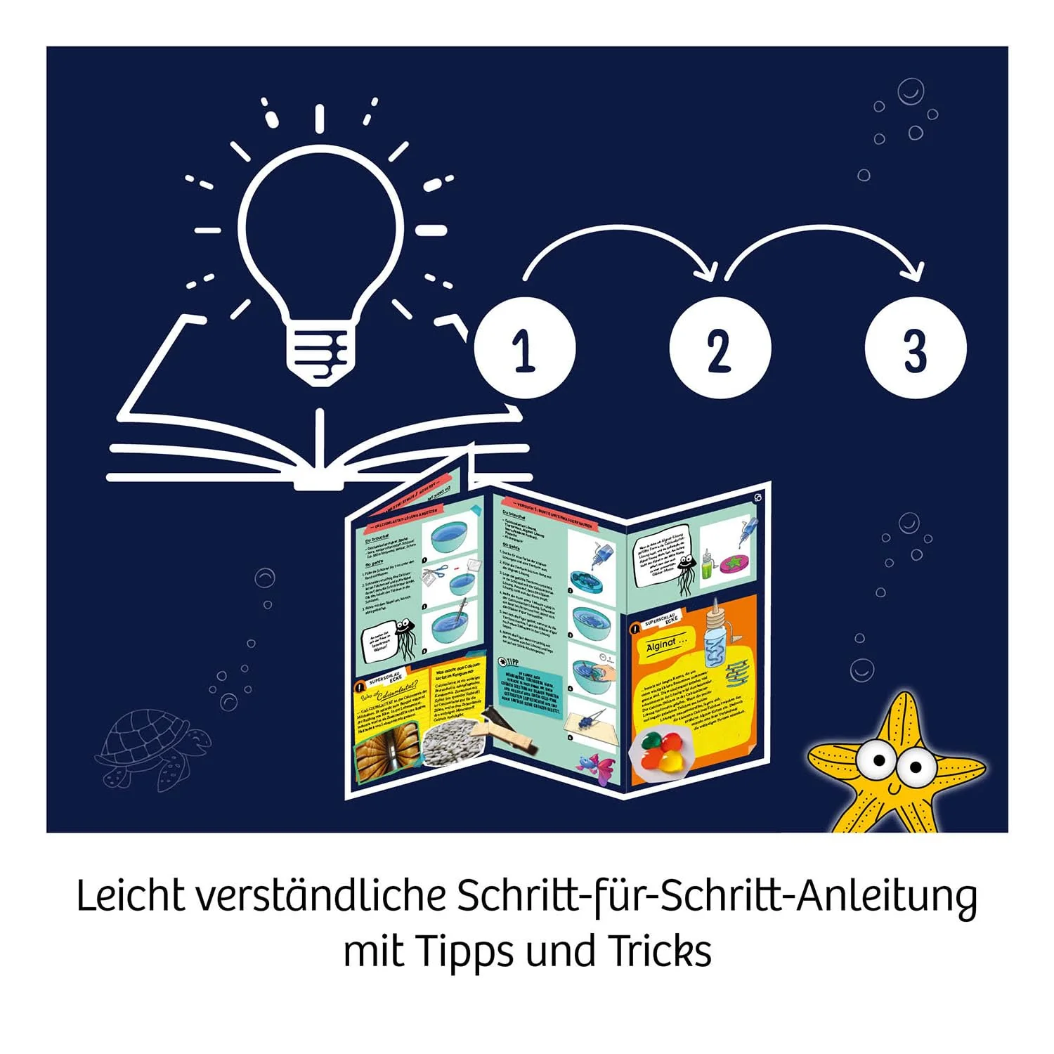 Vorschaubild 4