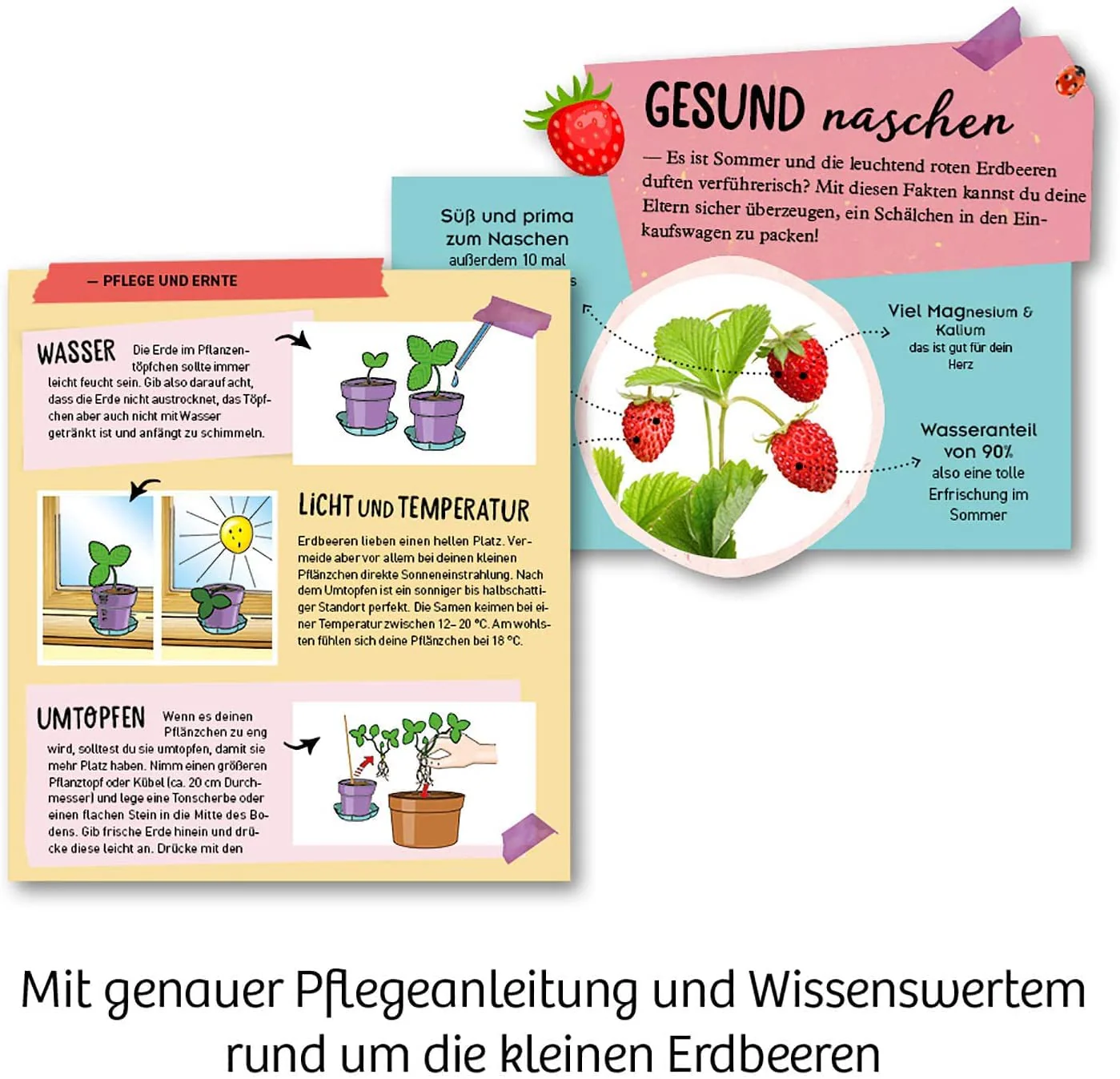 Vorschaubild 5