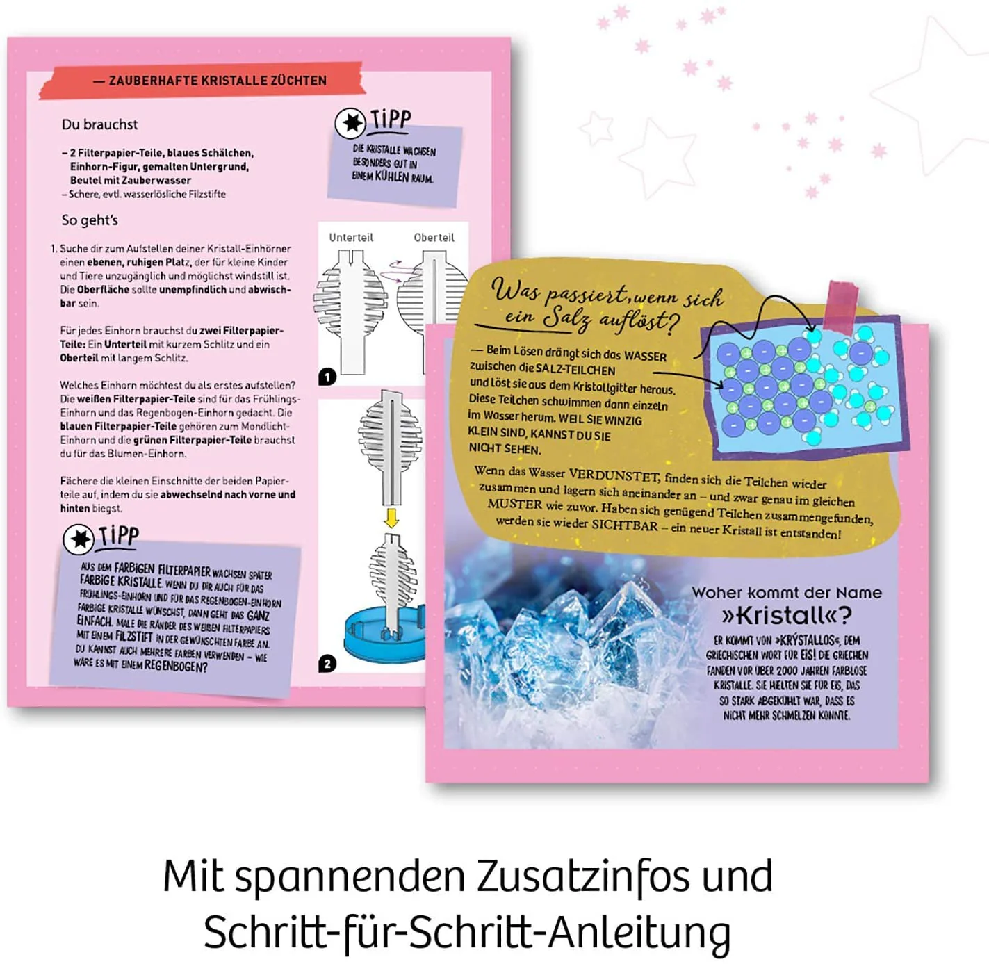 Vorschaubild 4