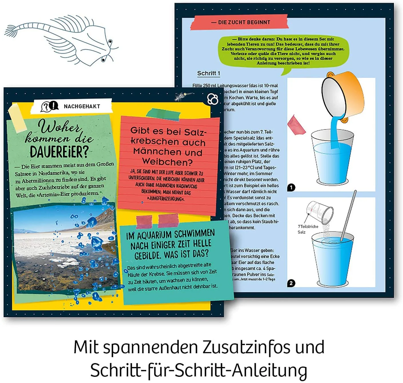 Vorschaubild 5