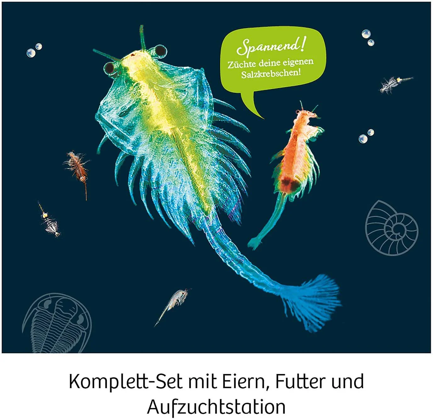 Vorschaubild 6