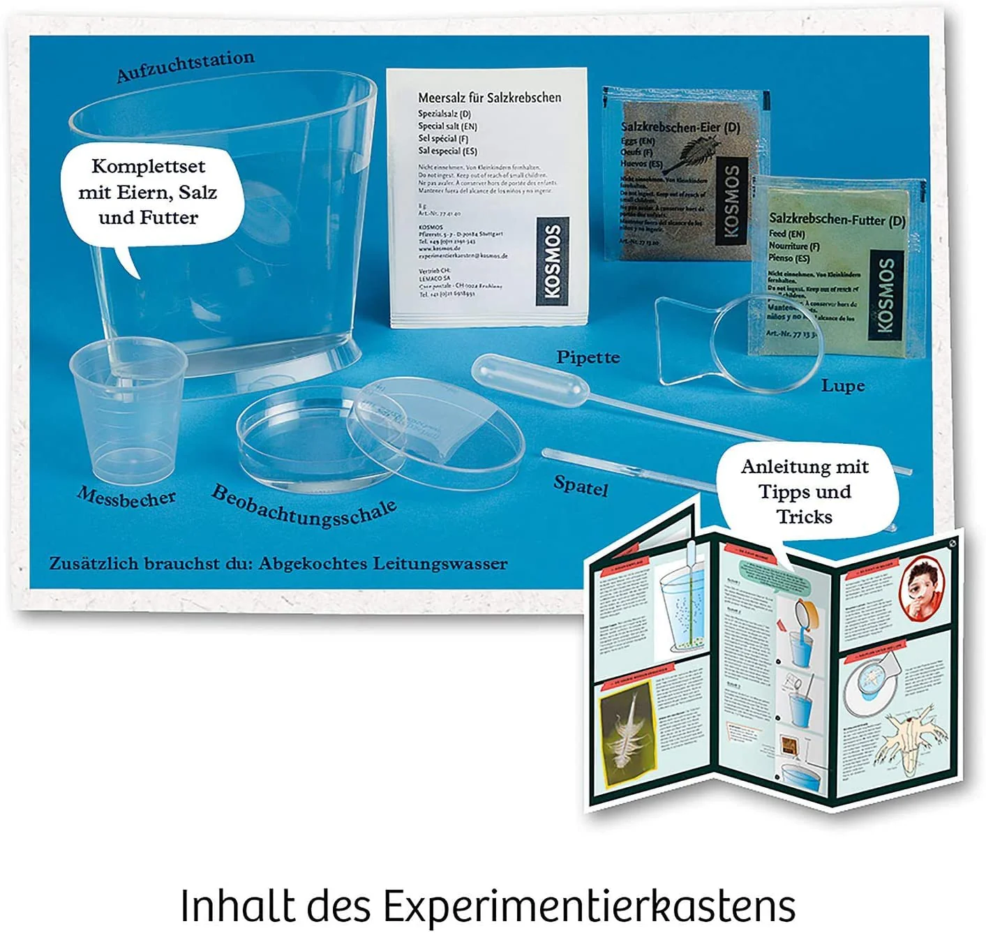 Vorschaubild 7