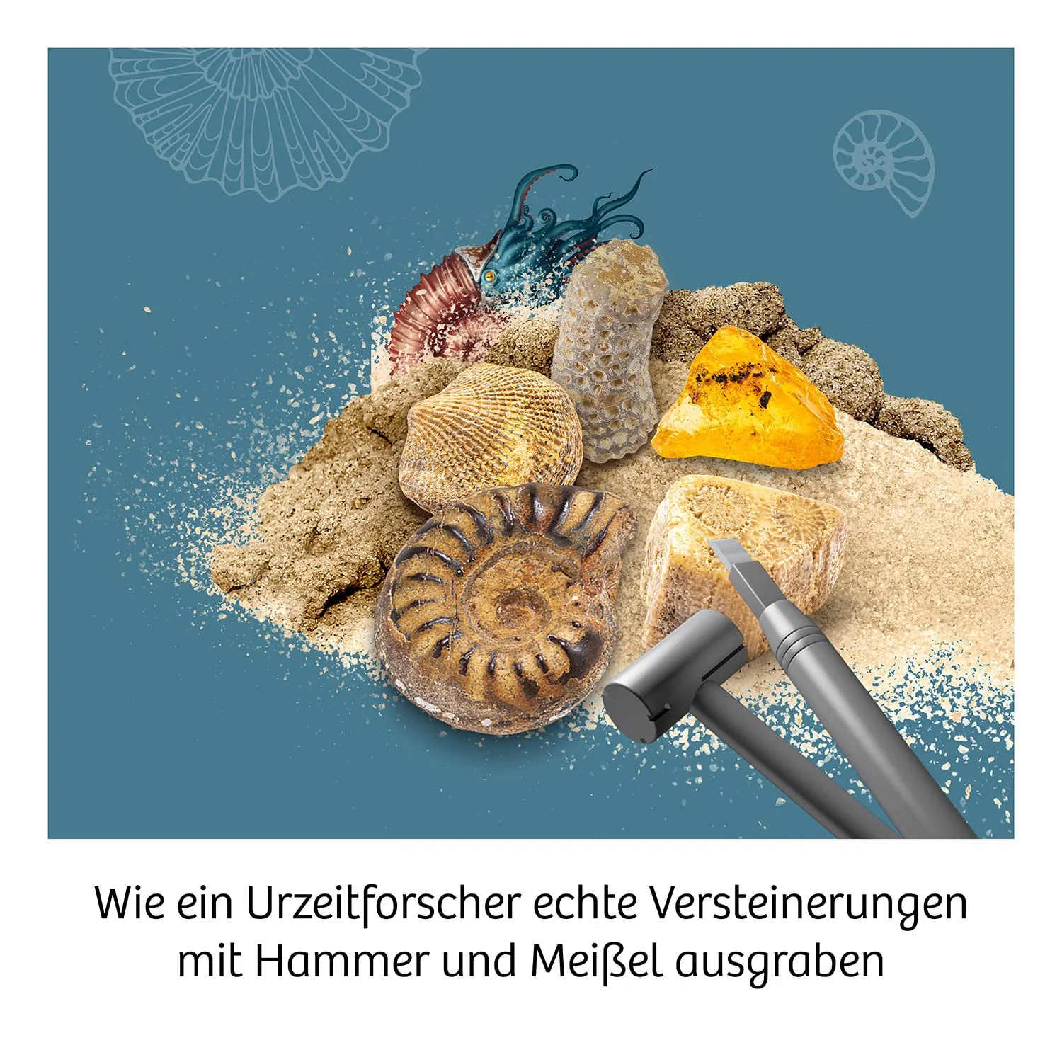 Vorschaubild 5
