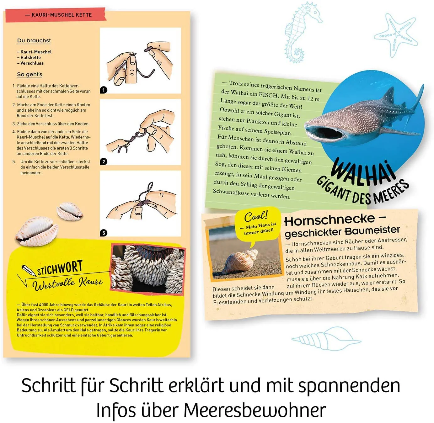 Vorschaubild 4