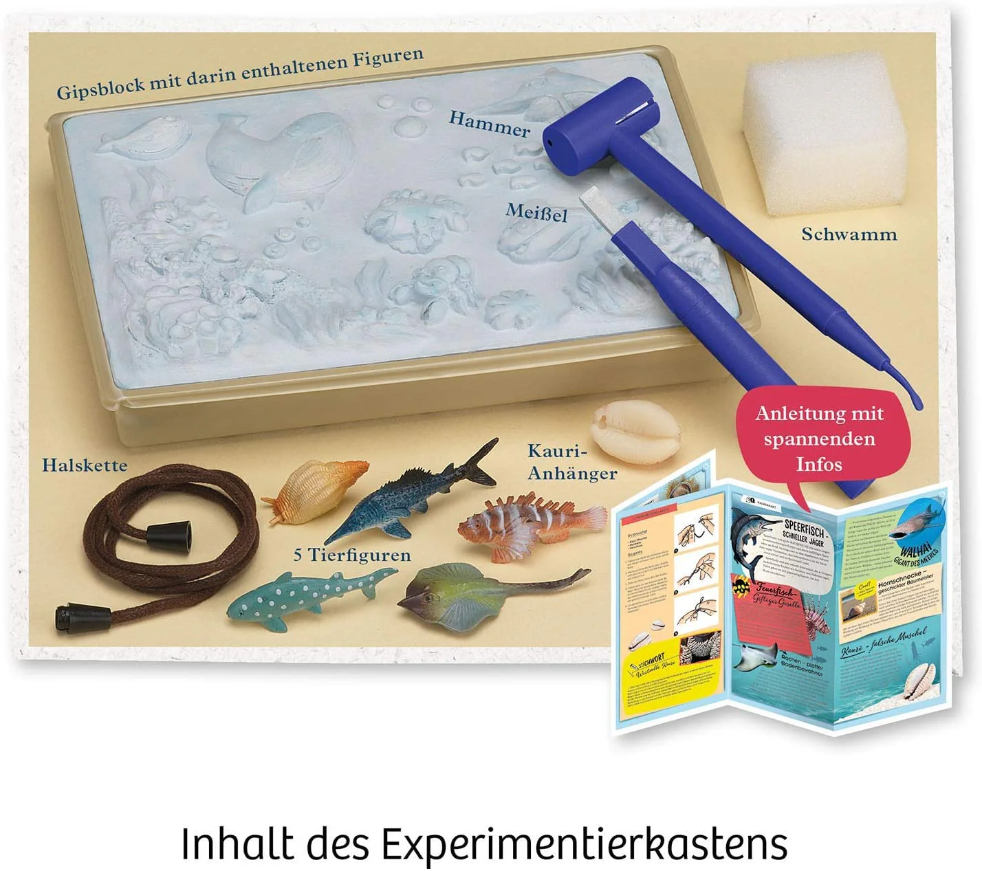 Vorschaubild 6