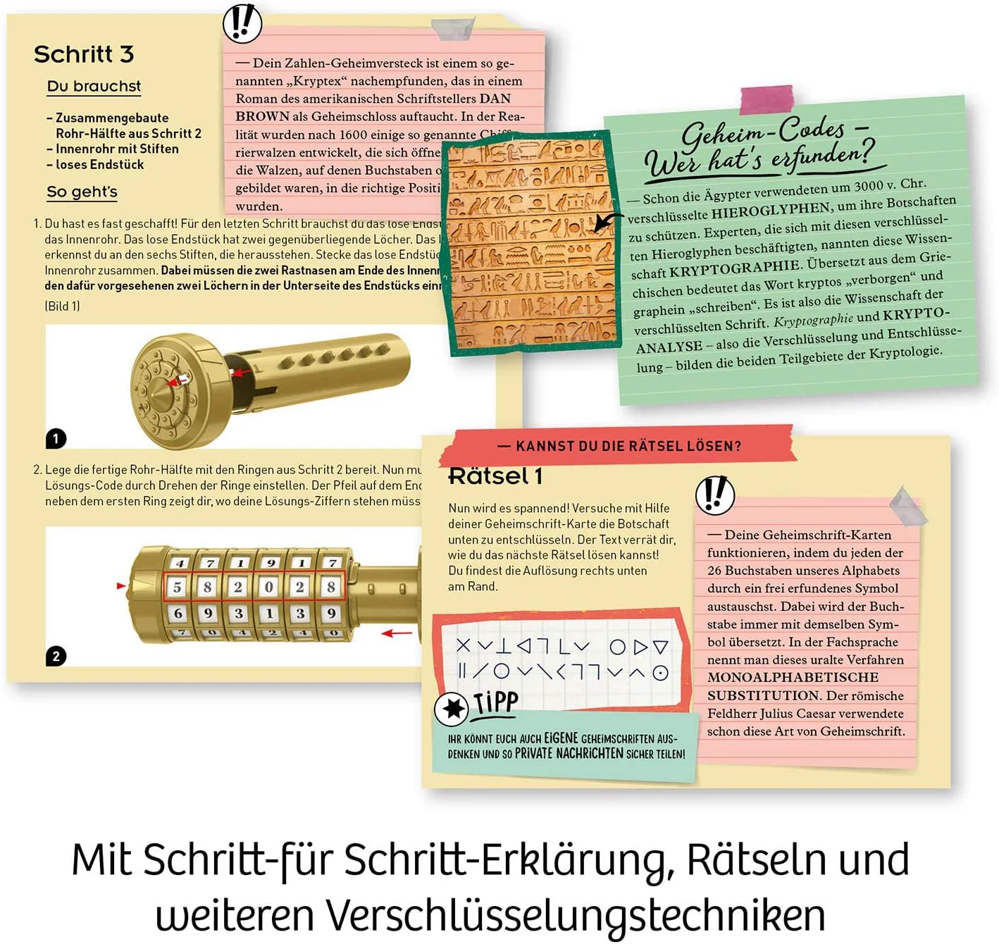 Vorschaubild 5