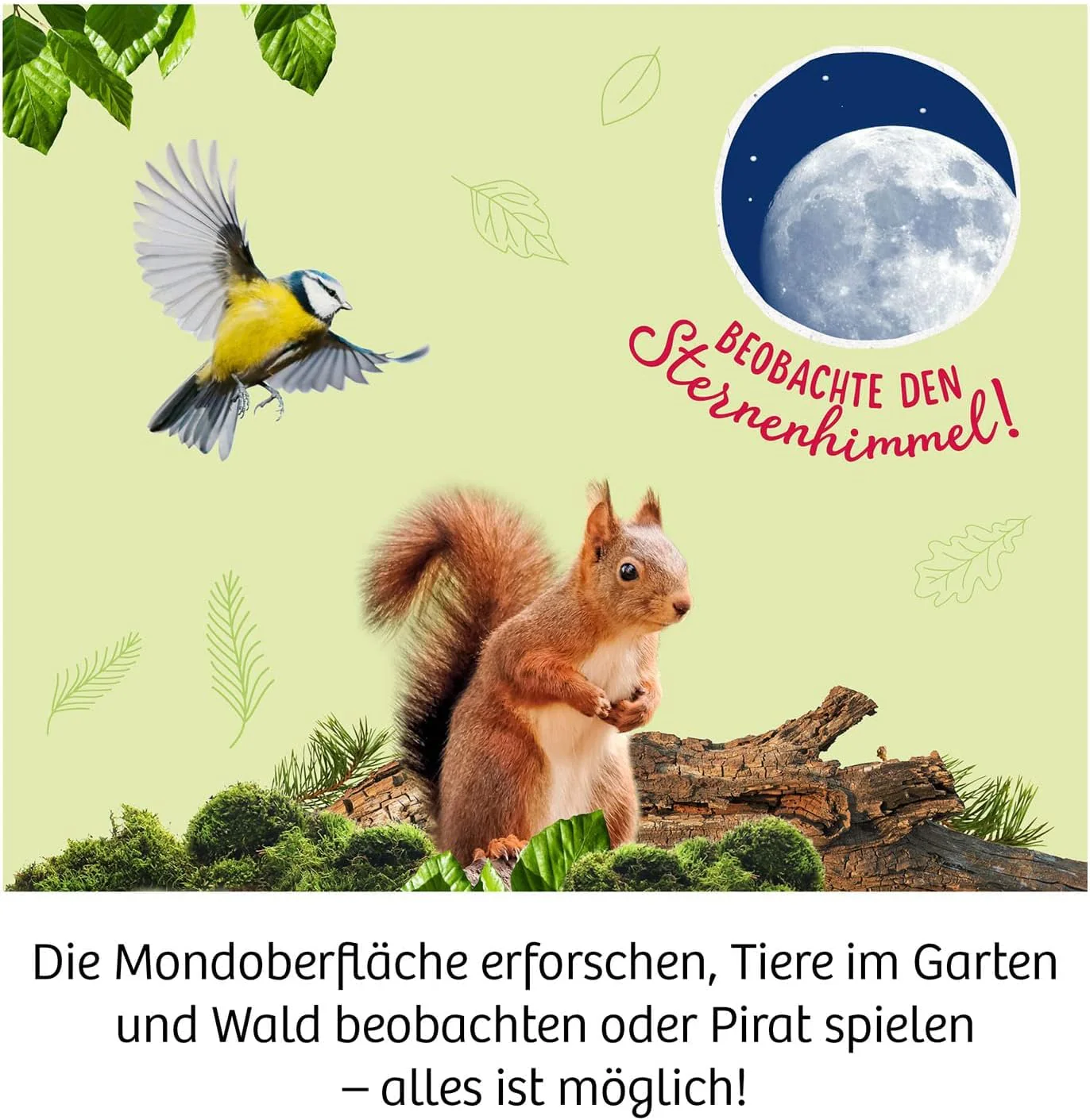 Vorschaubild 6