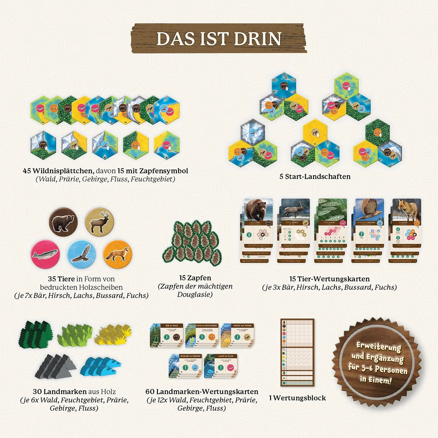Vorschaubild 5