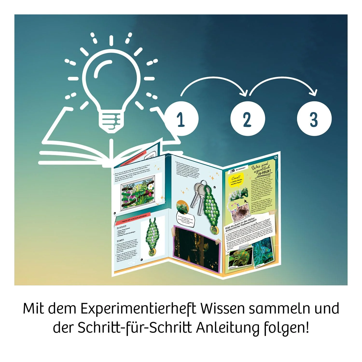 Vorschaubild 4