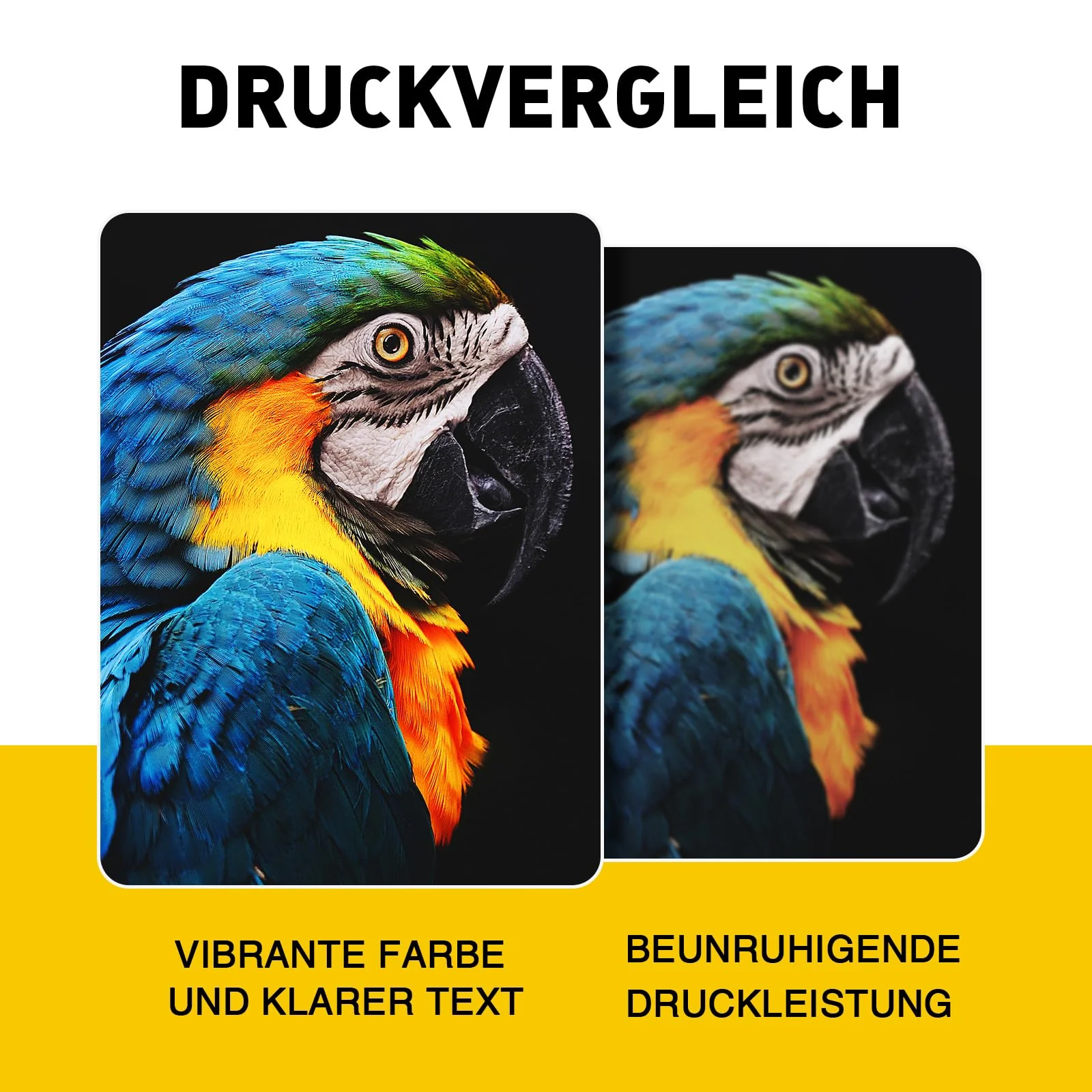 Vorschaubild 7