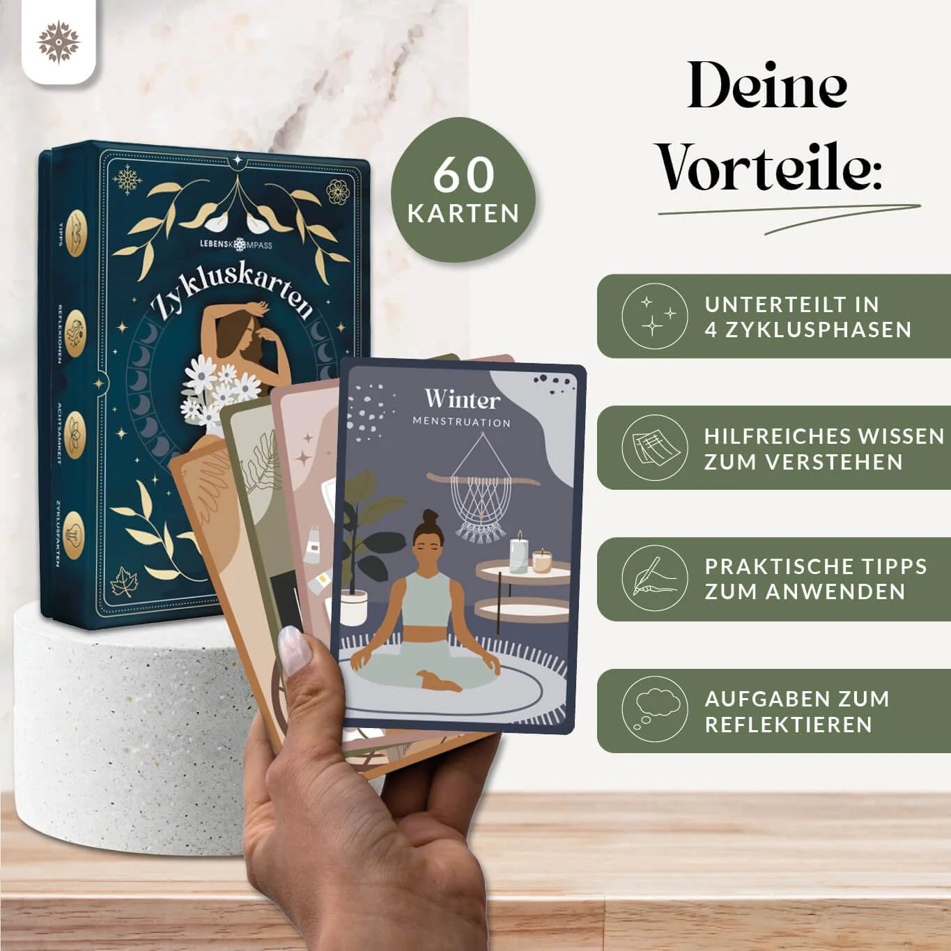 Vorschaubild 7