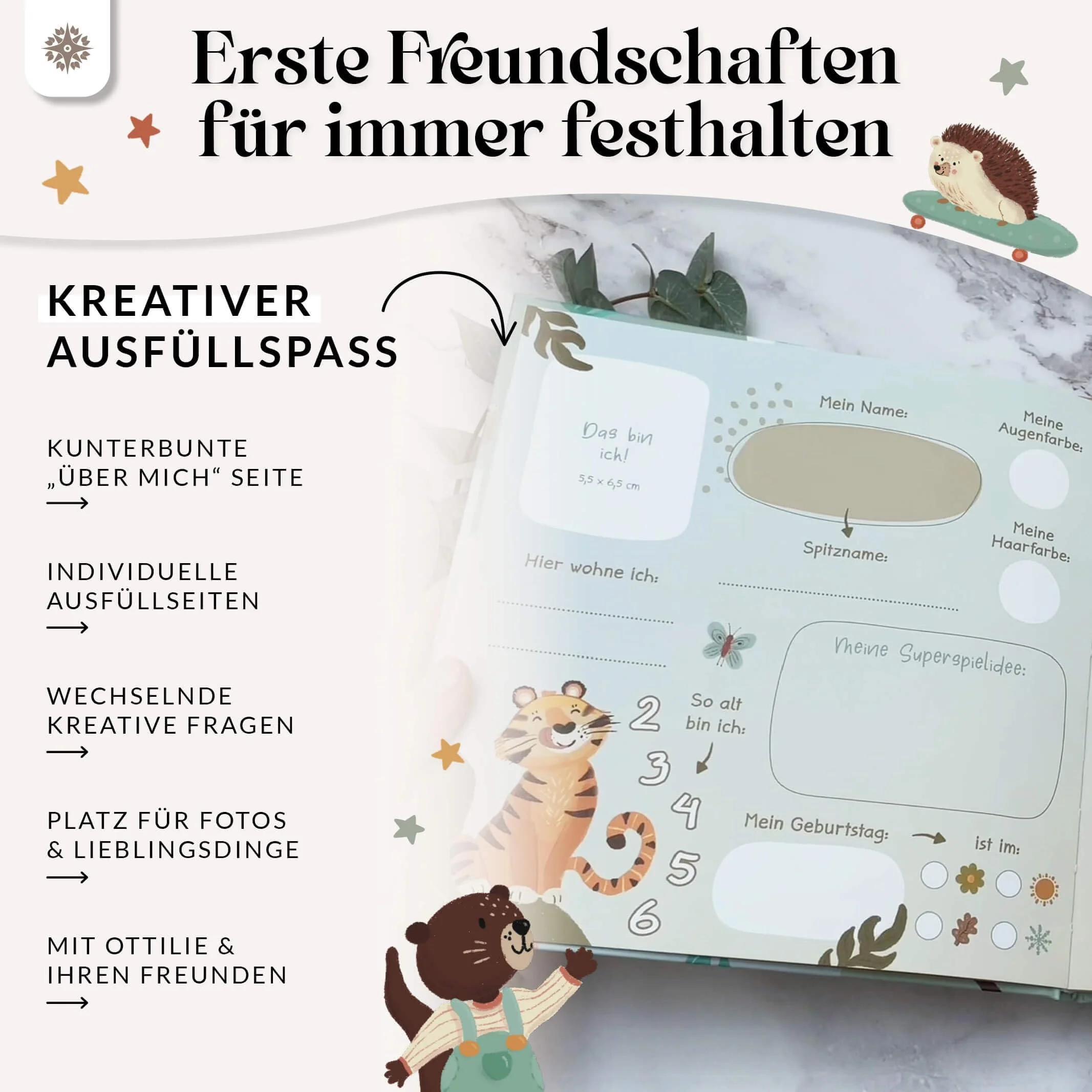 Vorschaubild 5