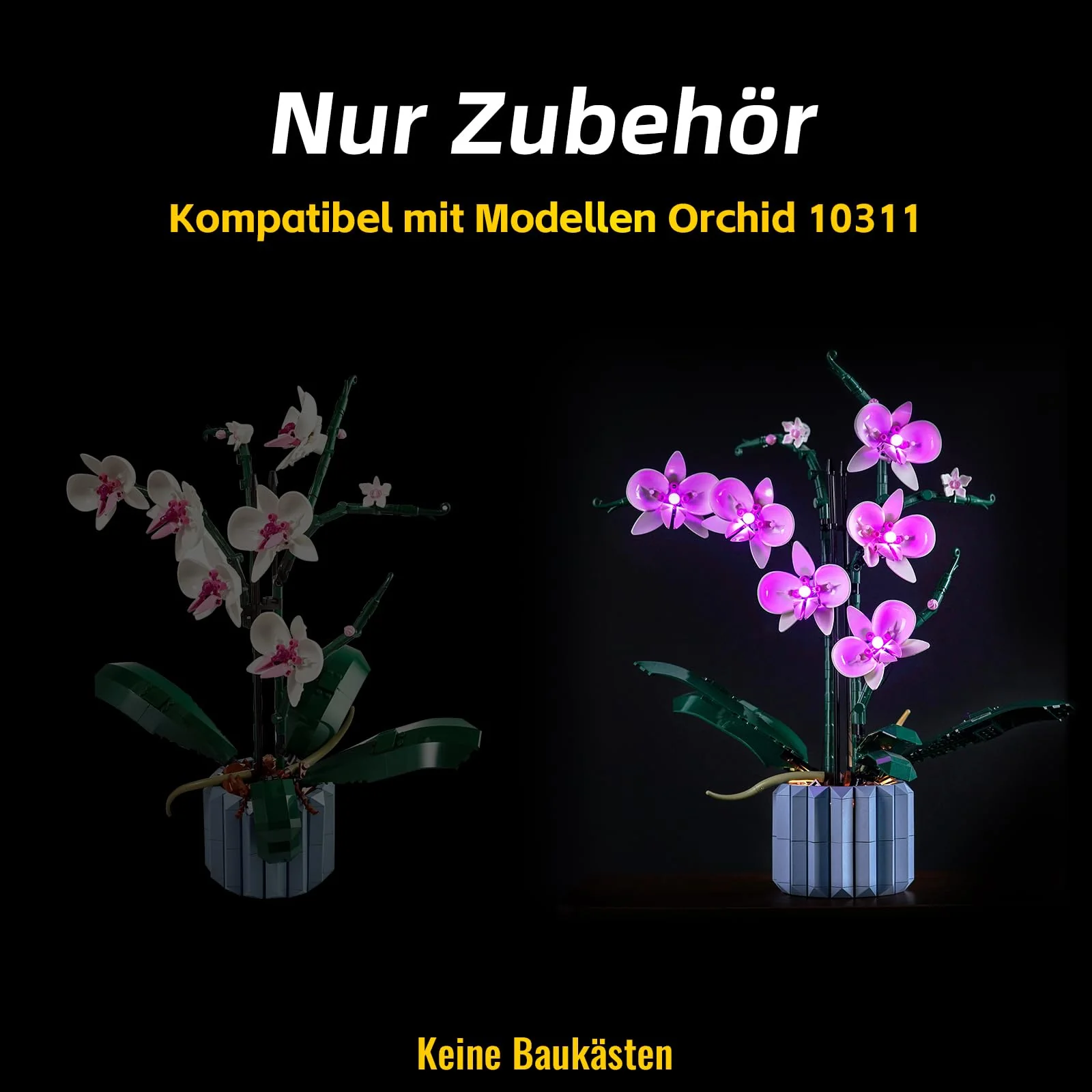 Vorschaubild 7