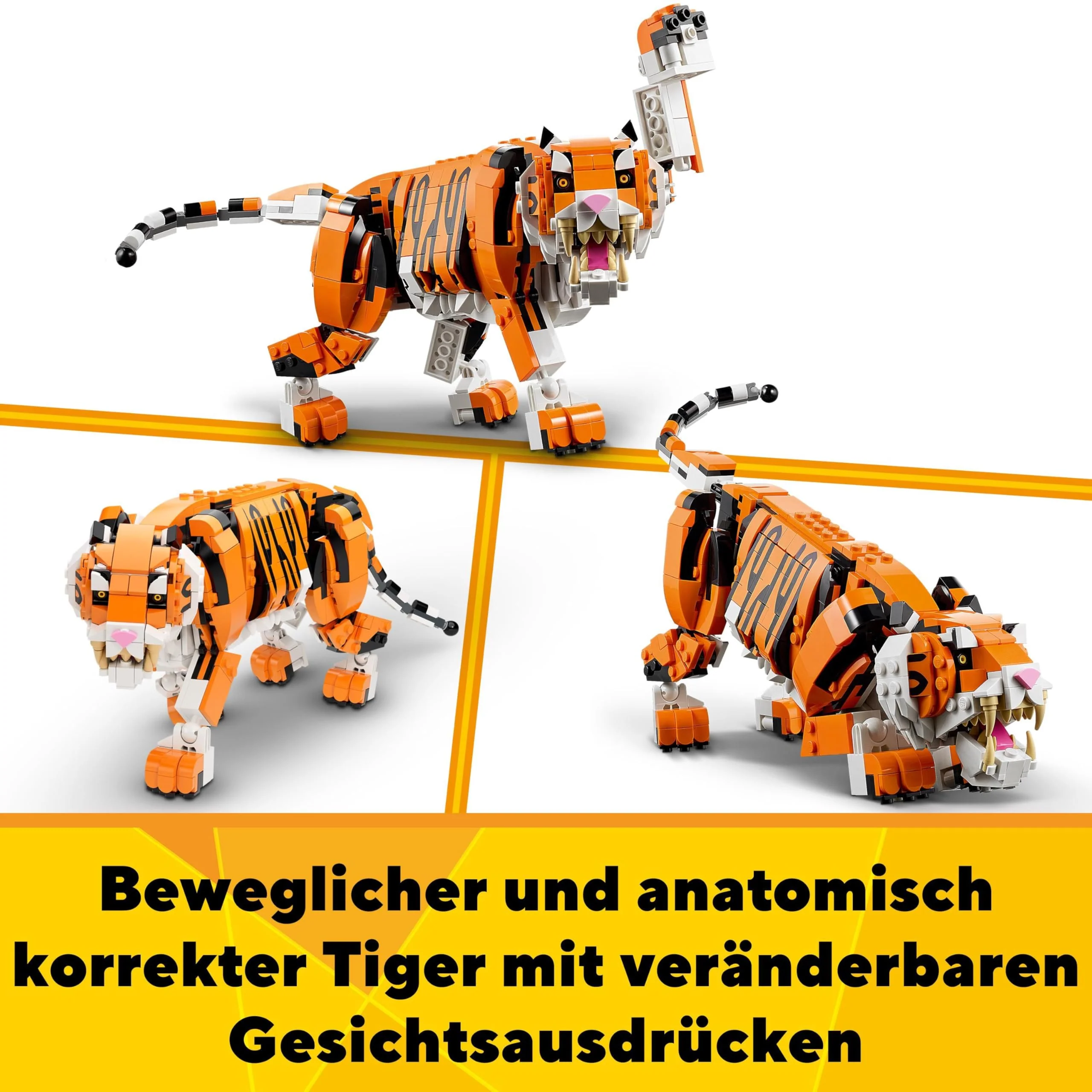 Vorschaubild 7