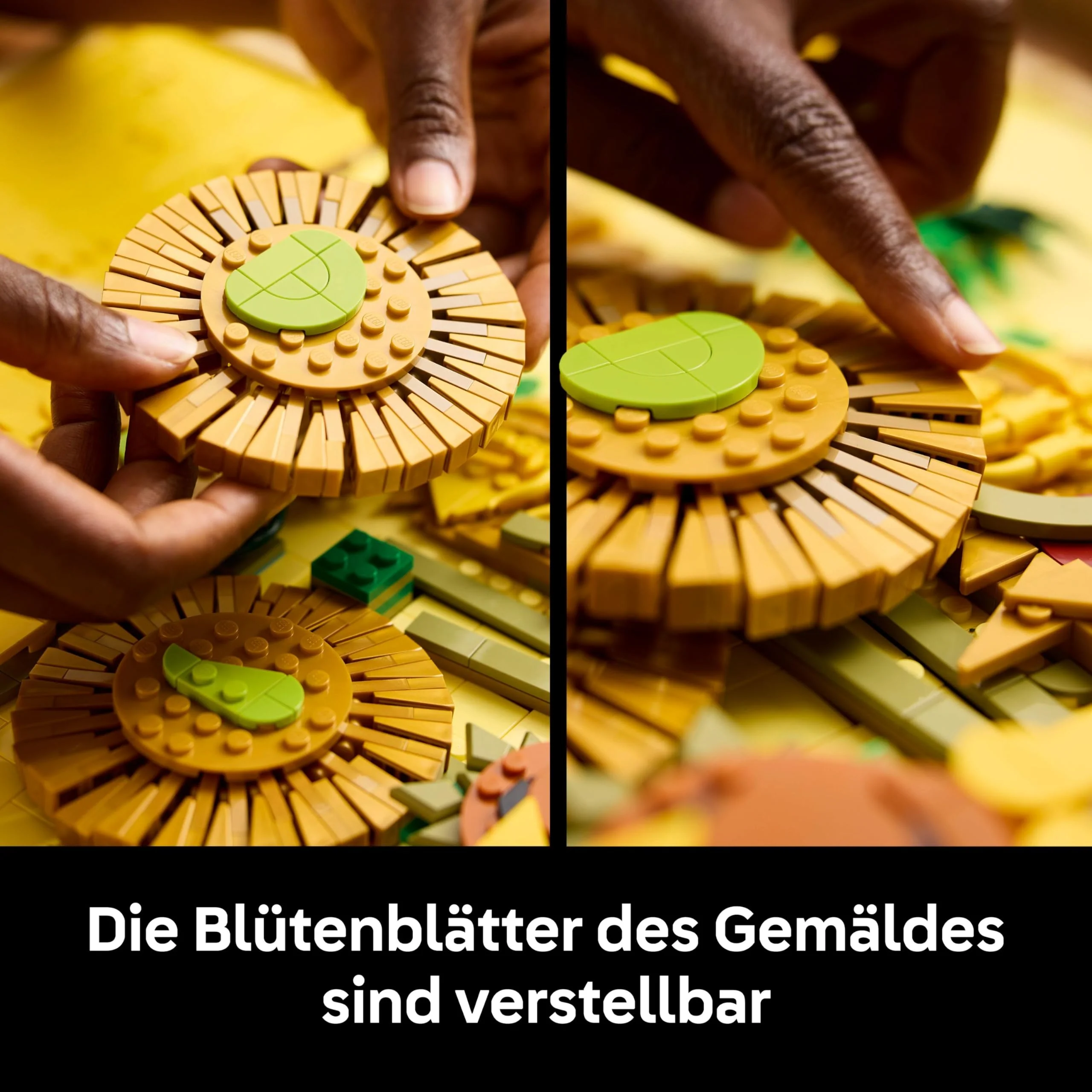 Vorschaubild 8