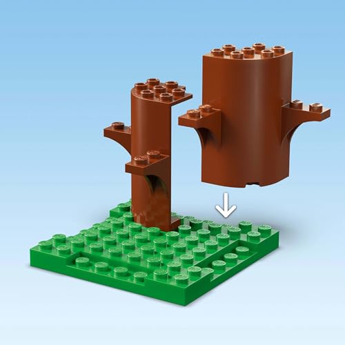 Vorschaubild 8