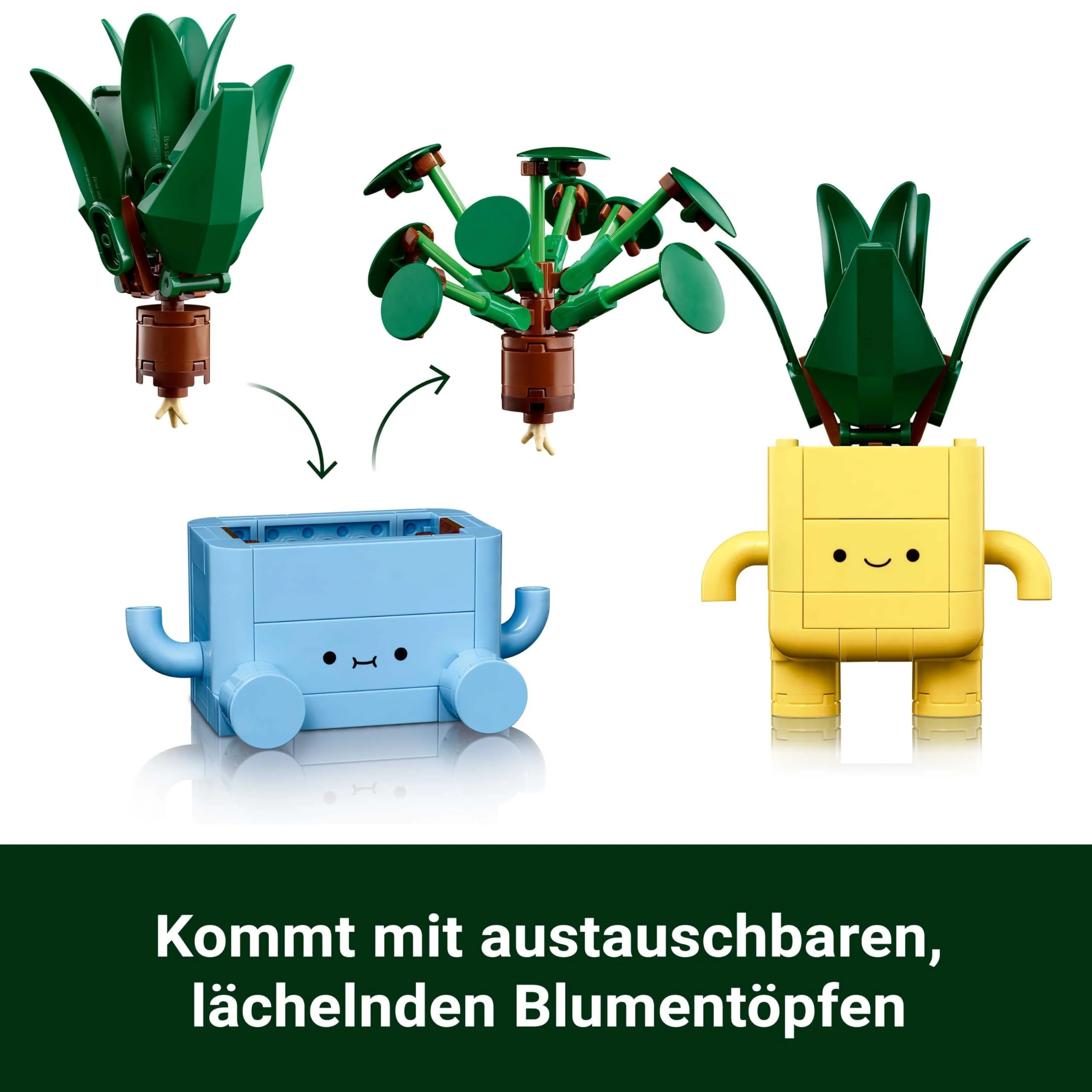 Vorschaubild 7