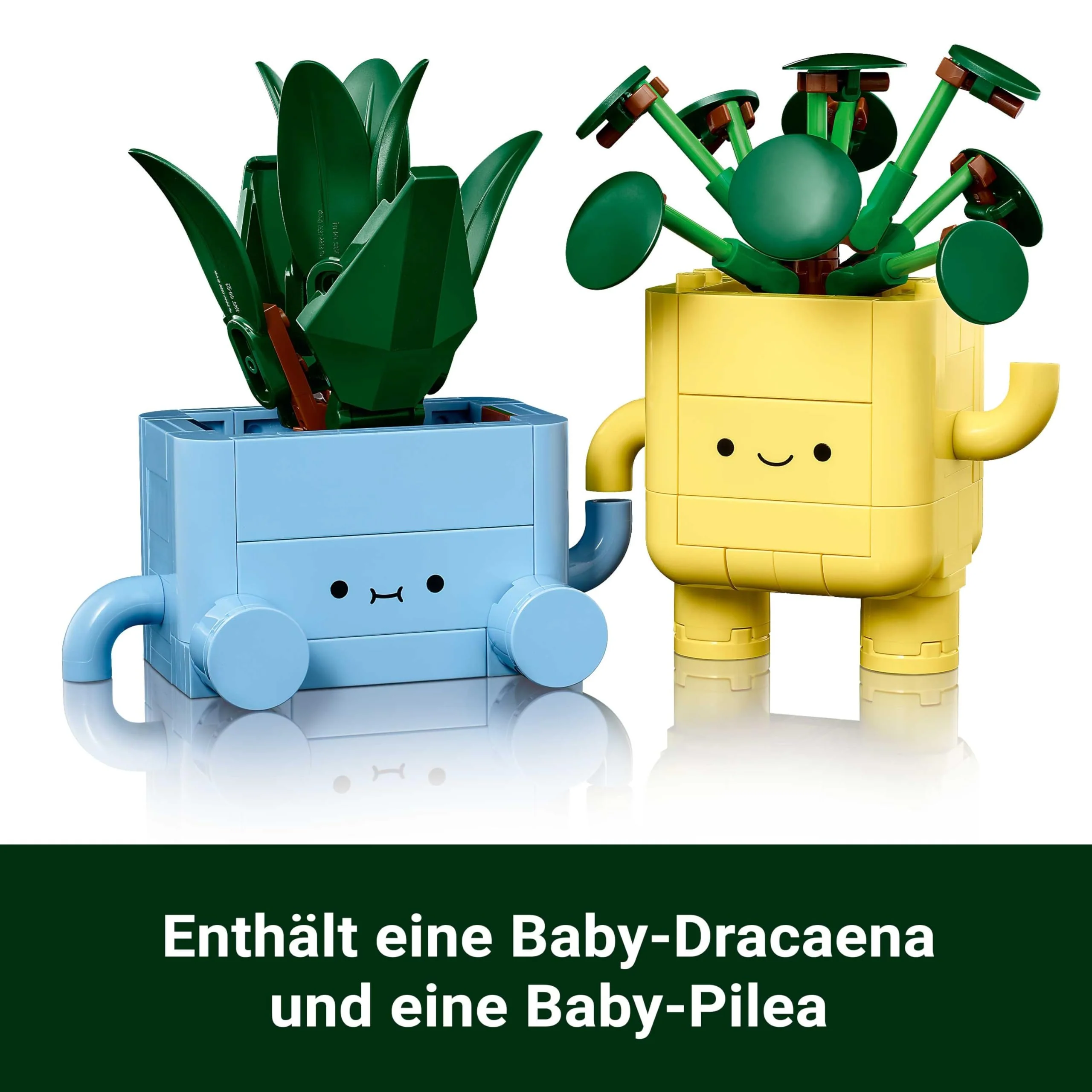 Vorschaubild 8