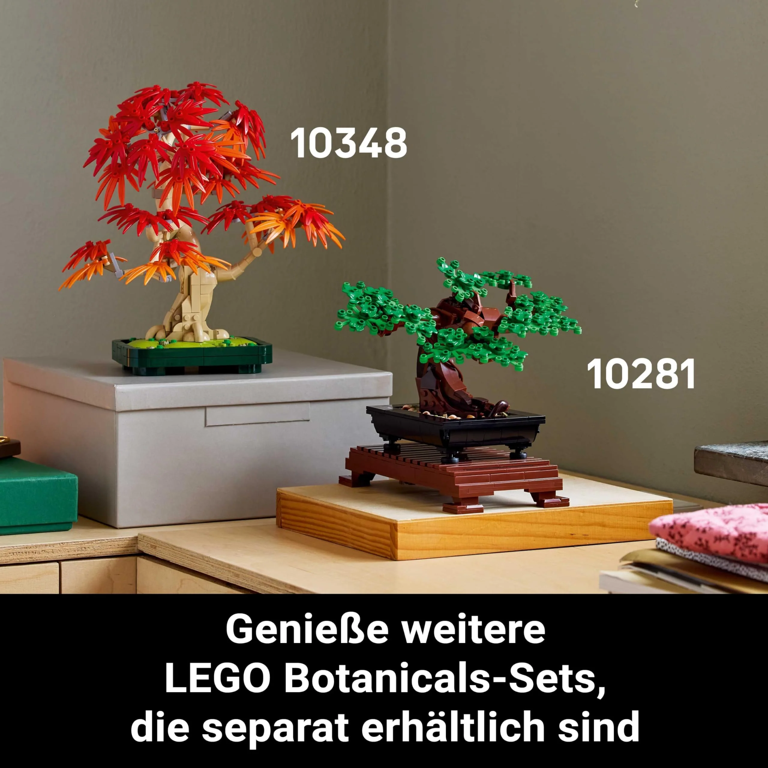 Vorschaubild 6