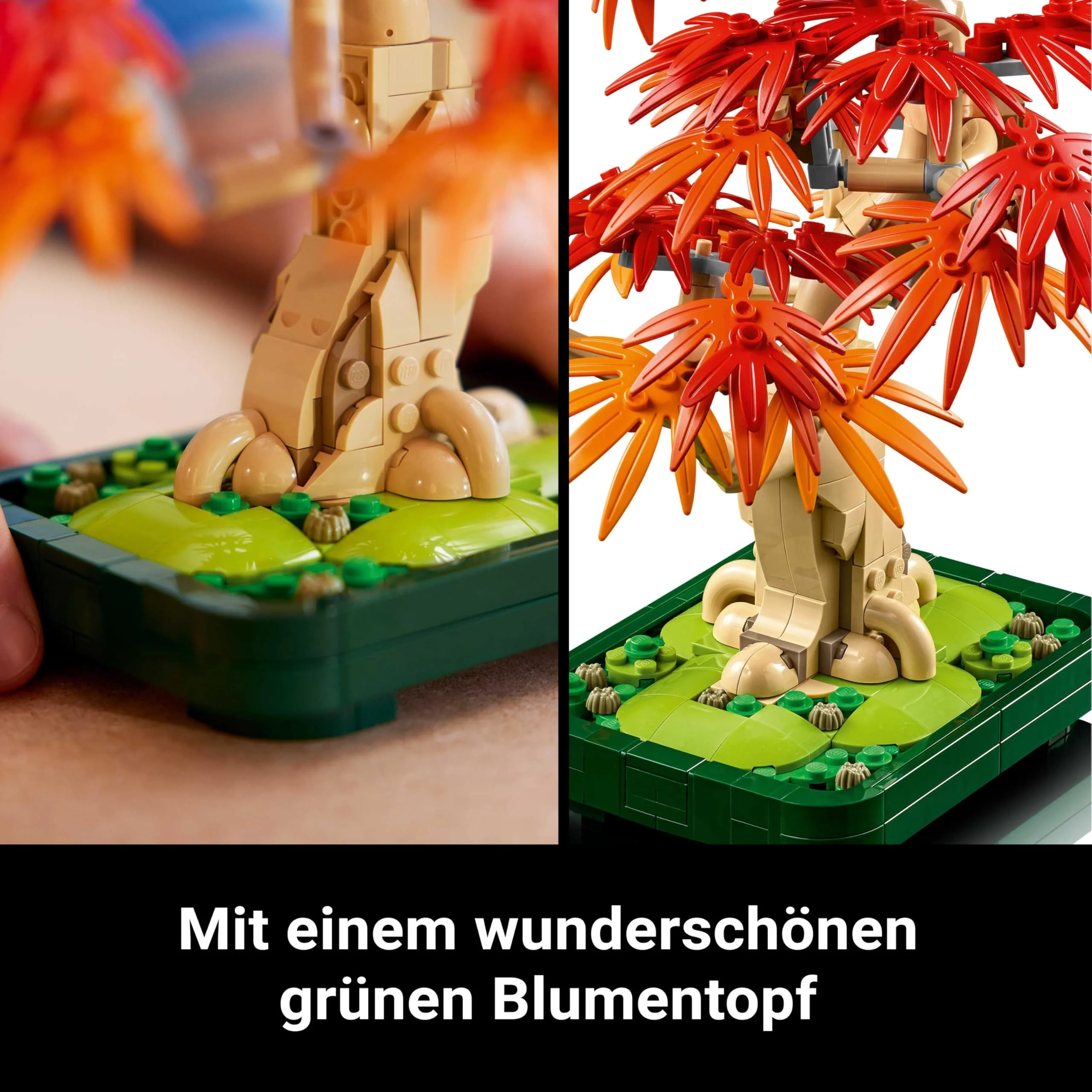 Vorschaubild 8