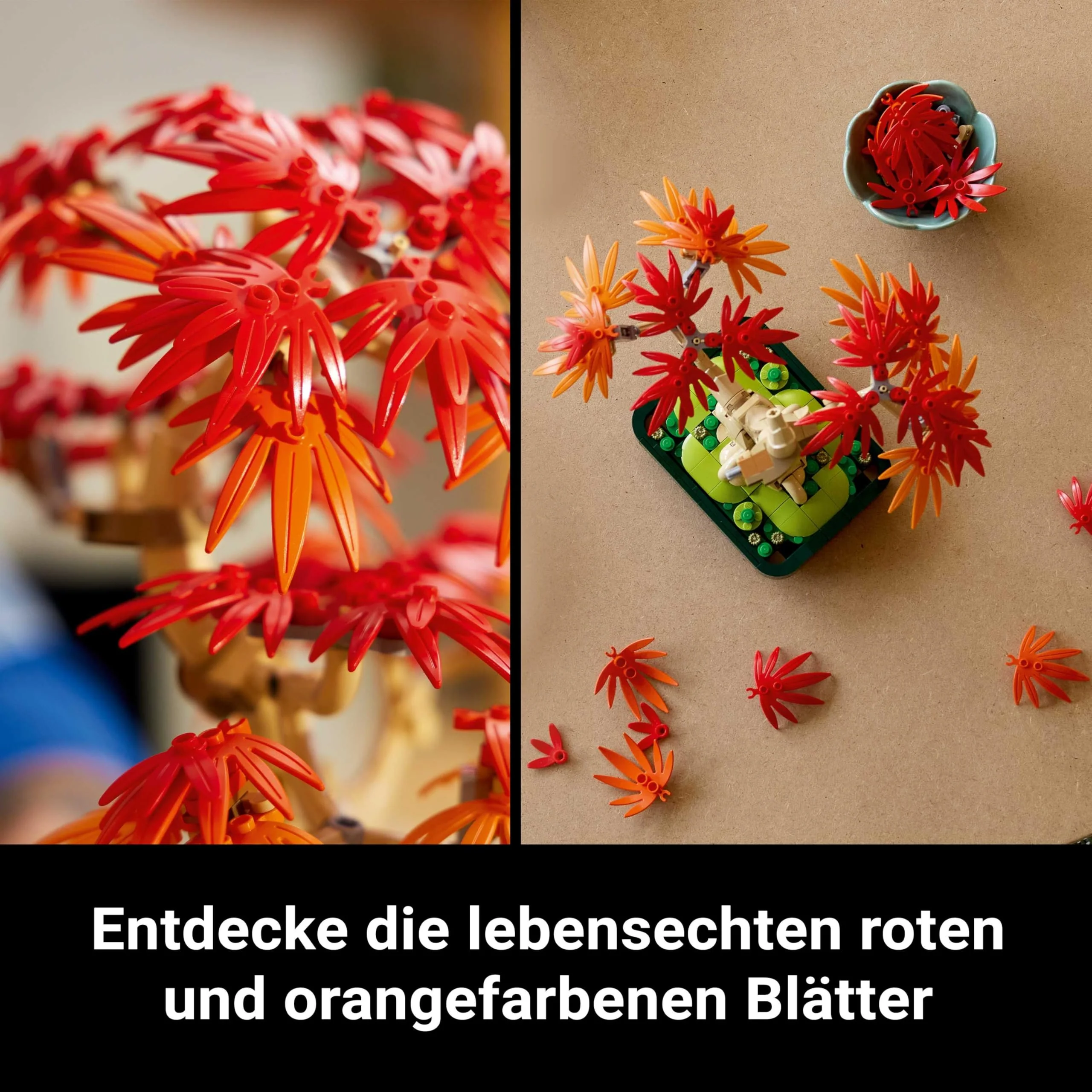 Vorschaubild 9
