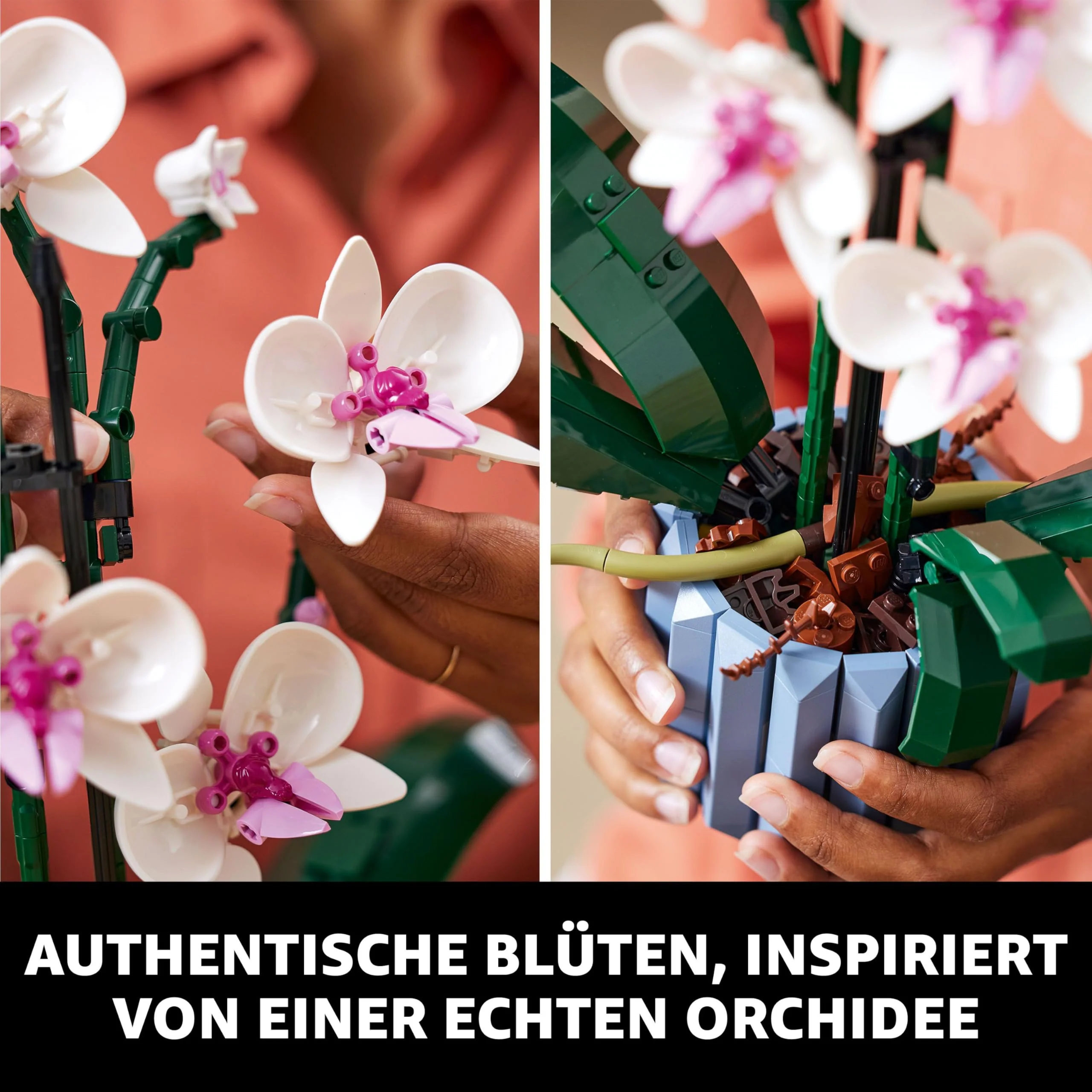 Vorschaubild 10
