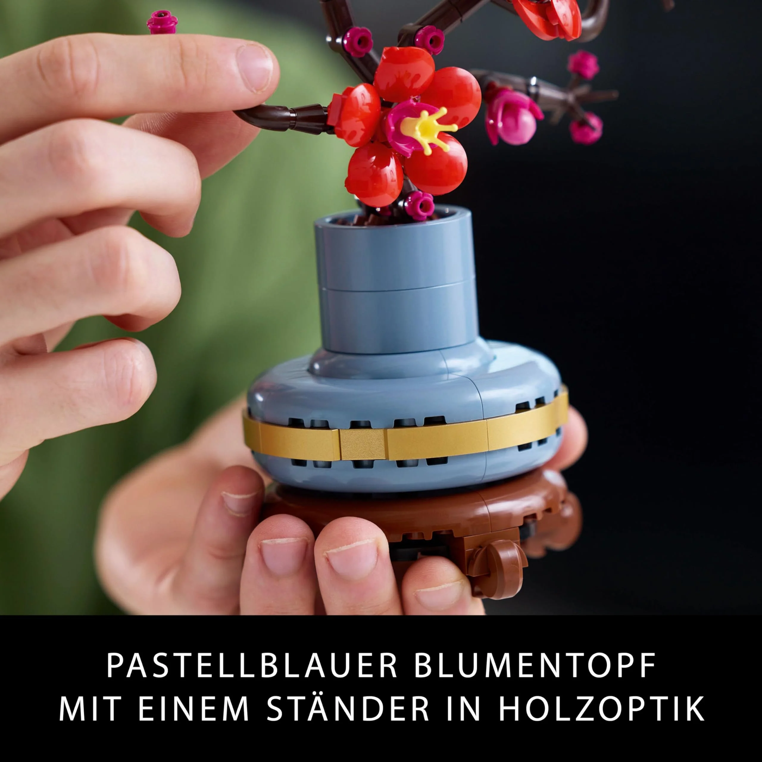 Vorschaubild 8