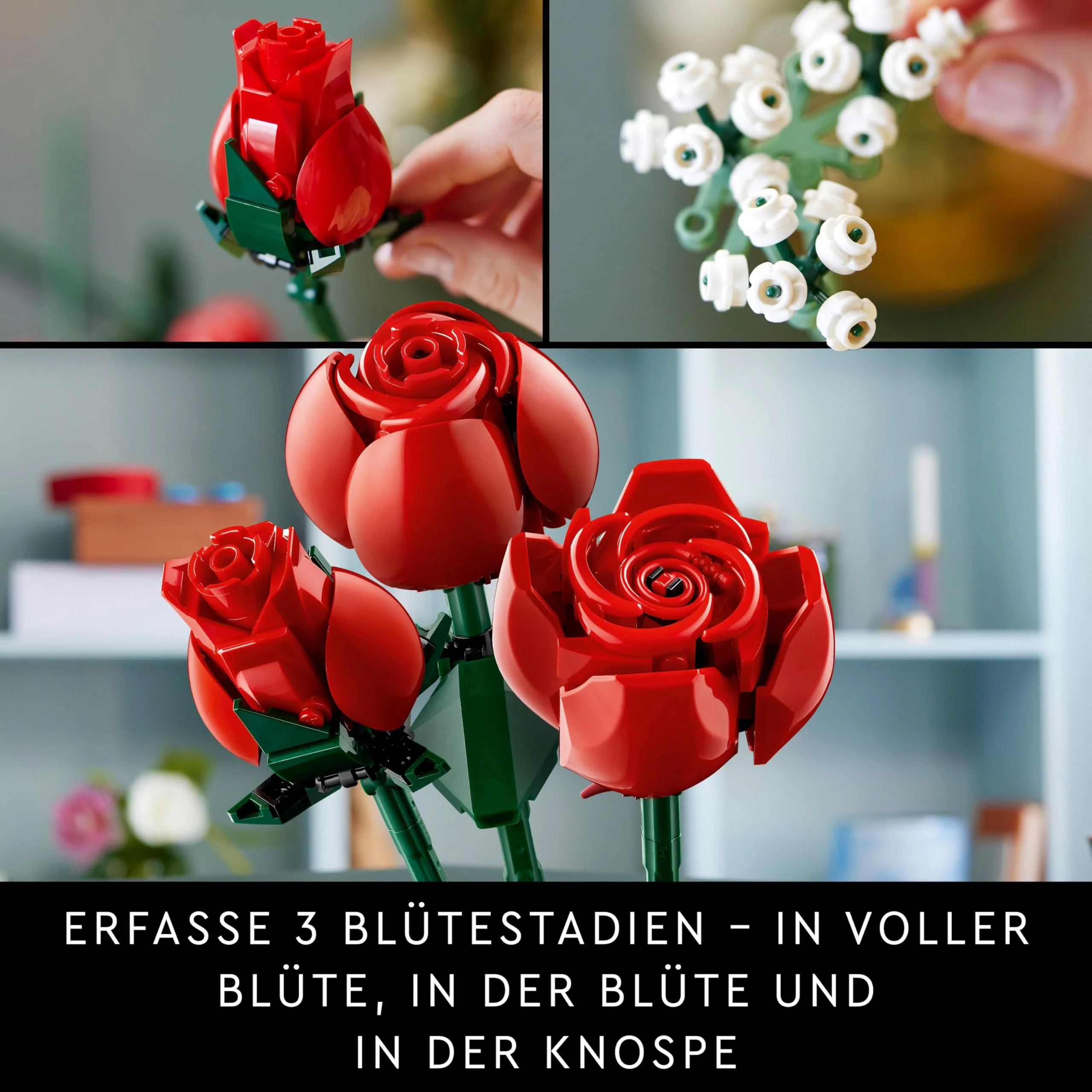 Vorschaubild 8