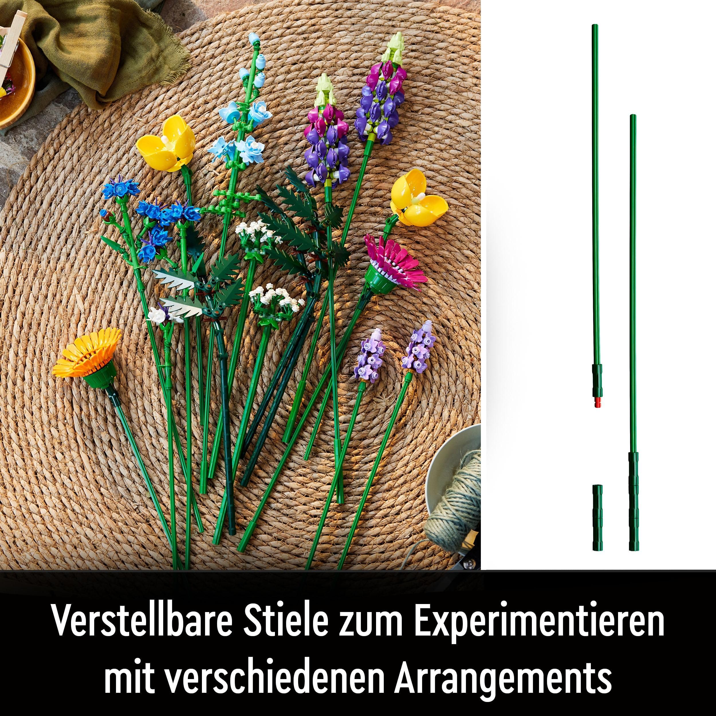 Vorschaubild 8