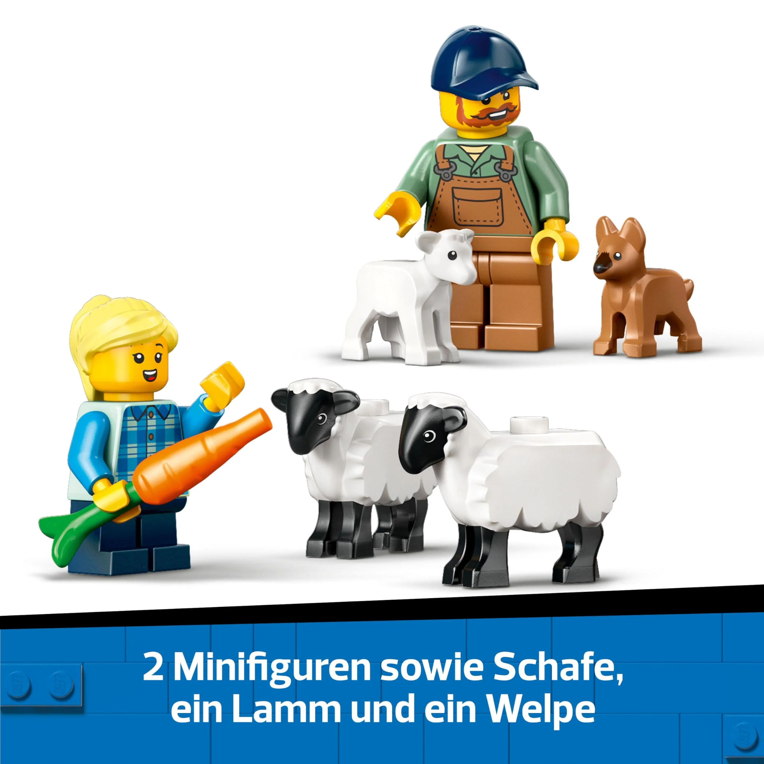 Vorschaubild 8