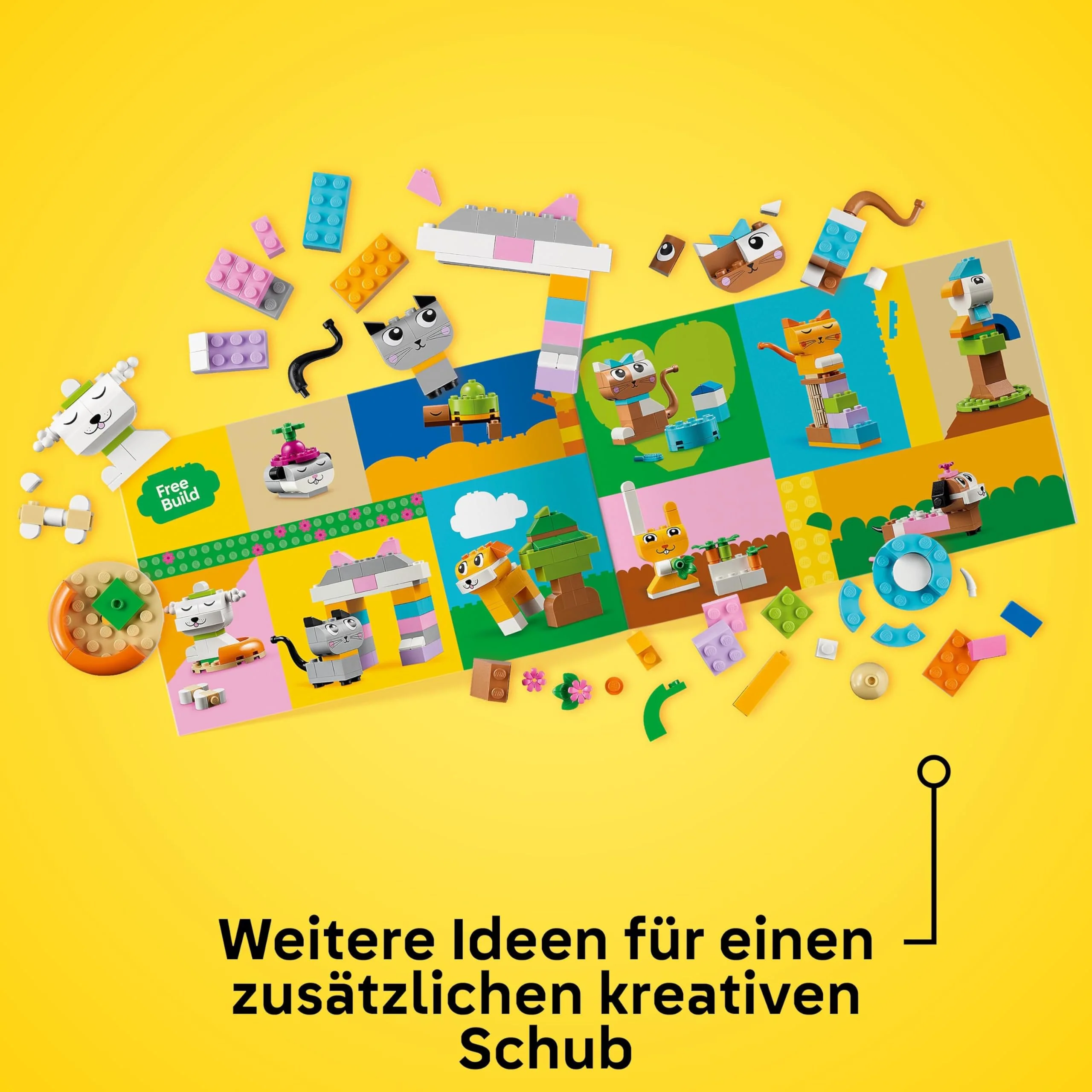 Vorschaubild 9