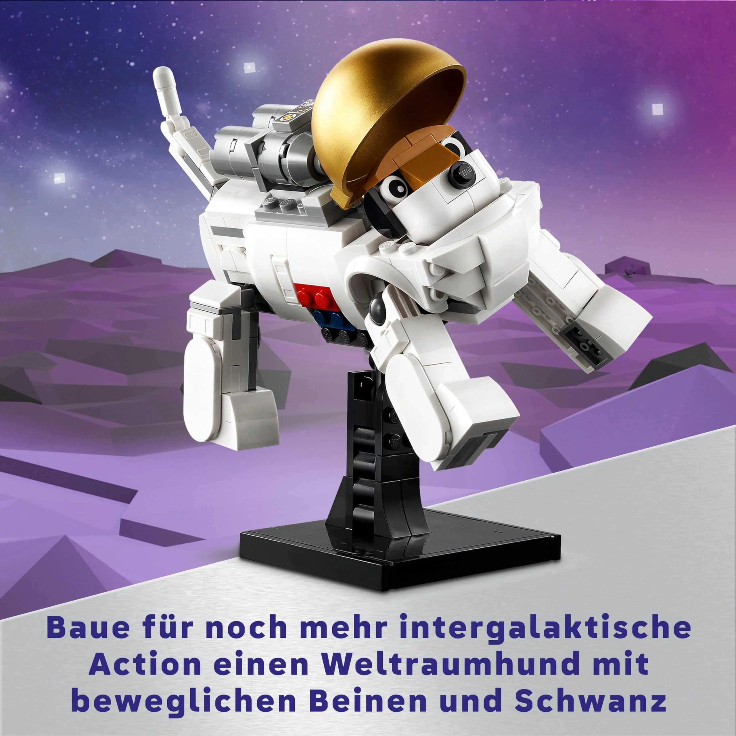 Vorschaubild 8