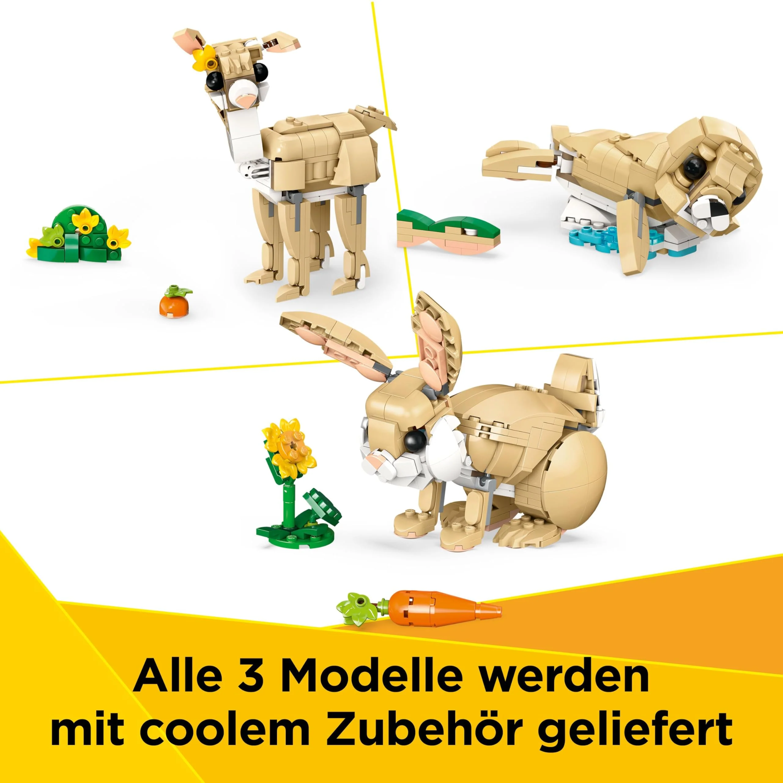 Vorschaubild 10