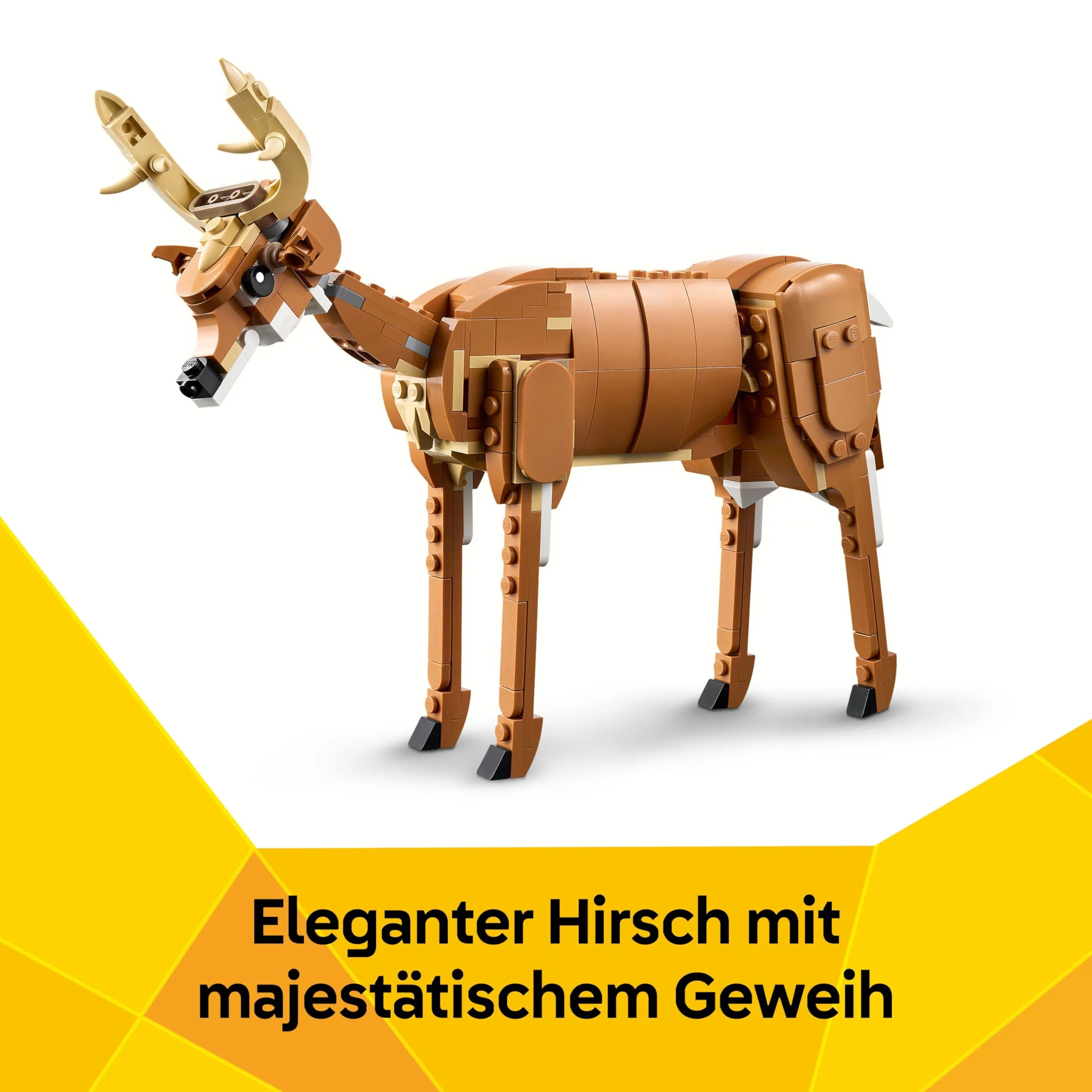 Vorschaubild 6