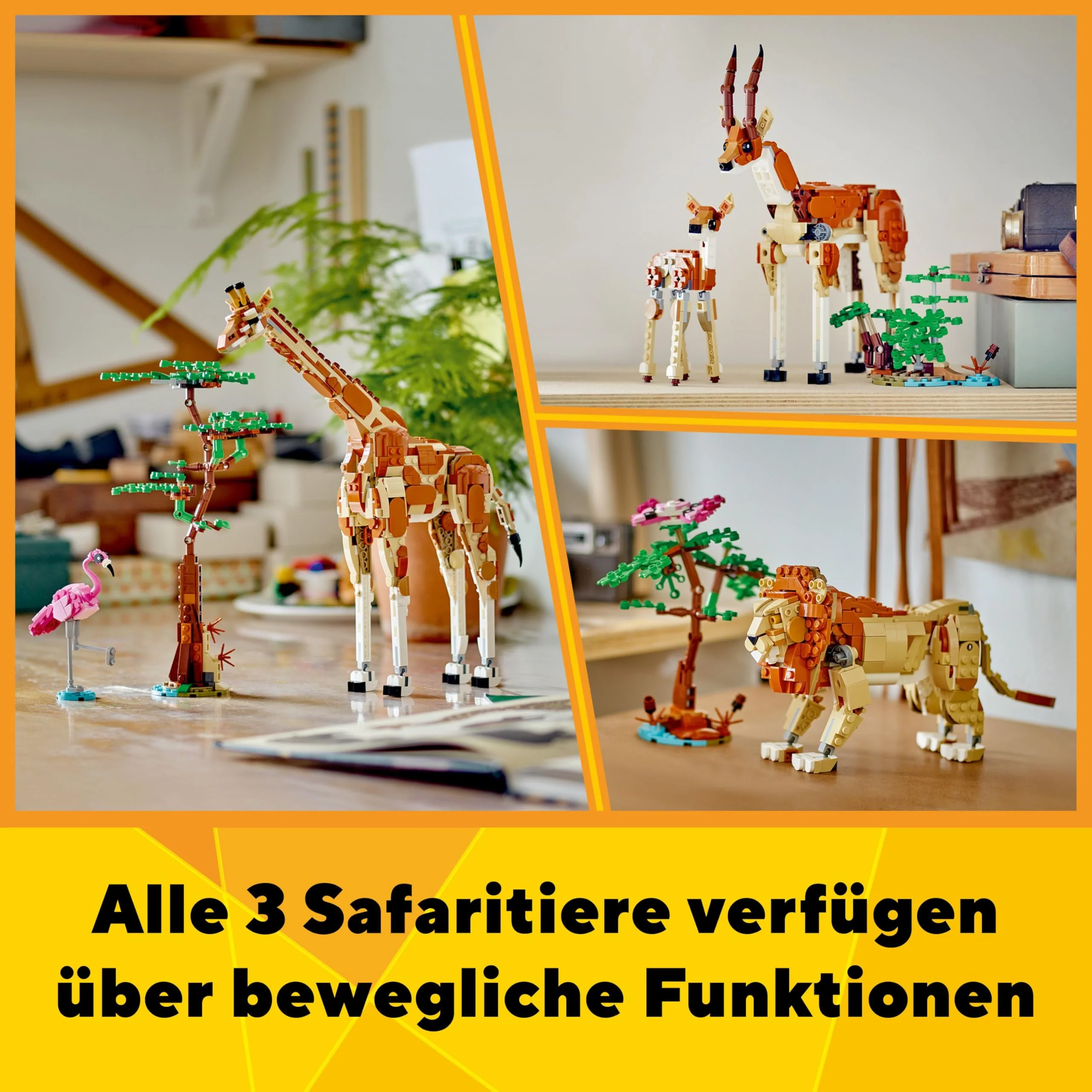 Vorschaubild 10