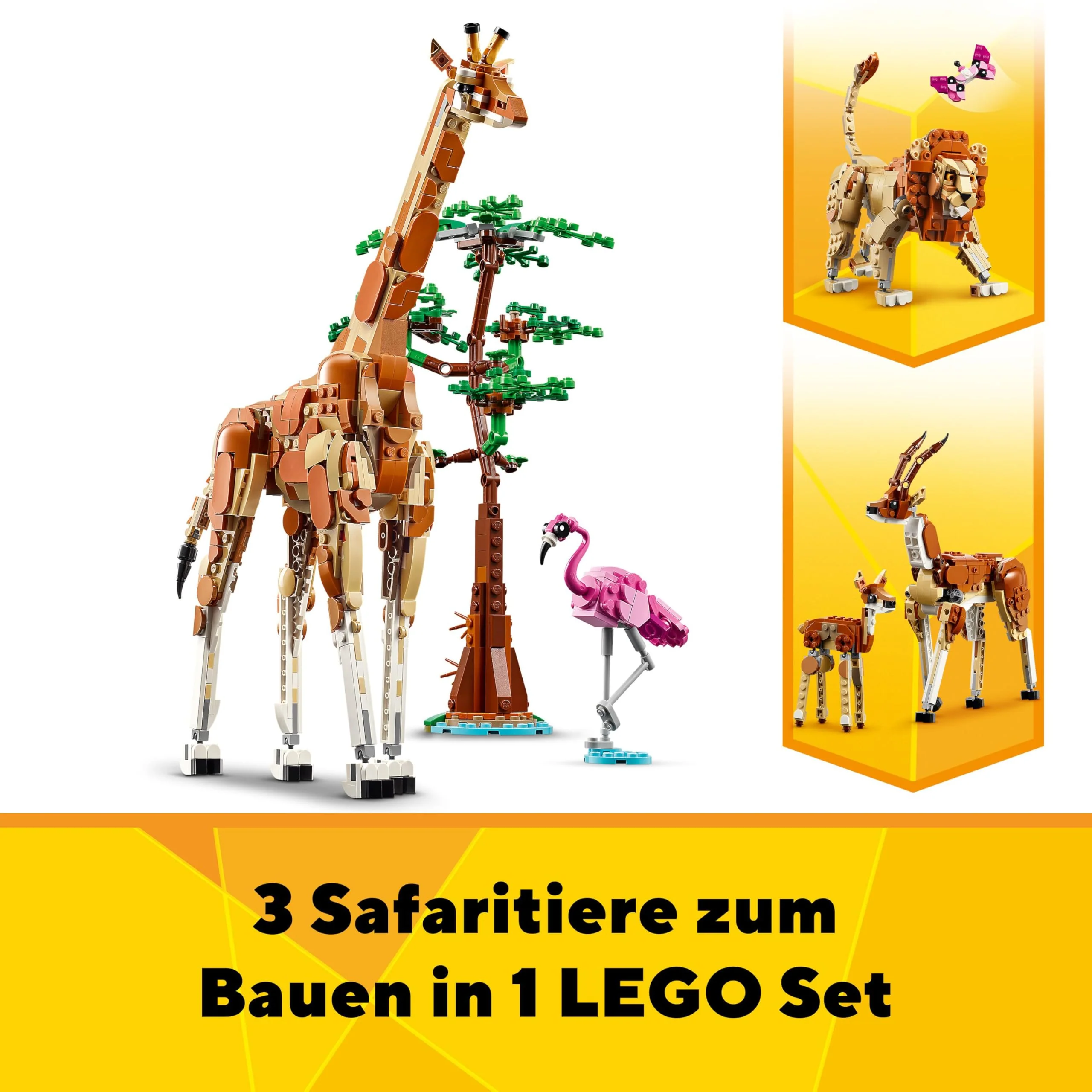 Vorschaubild 11