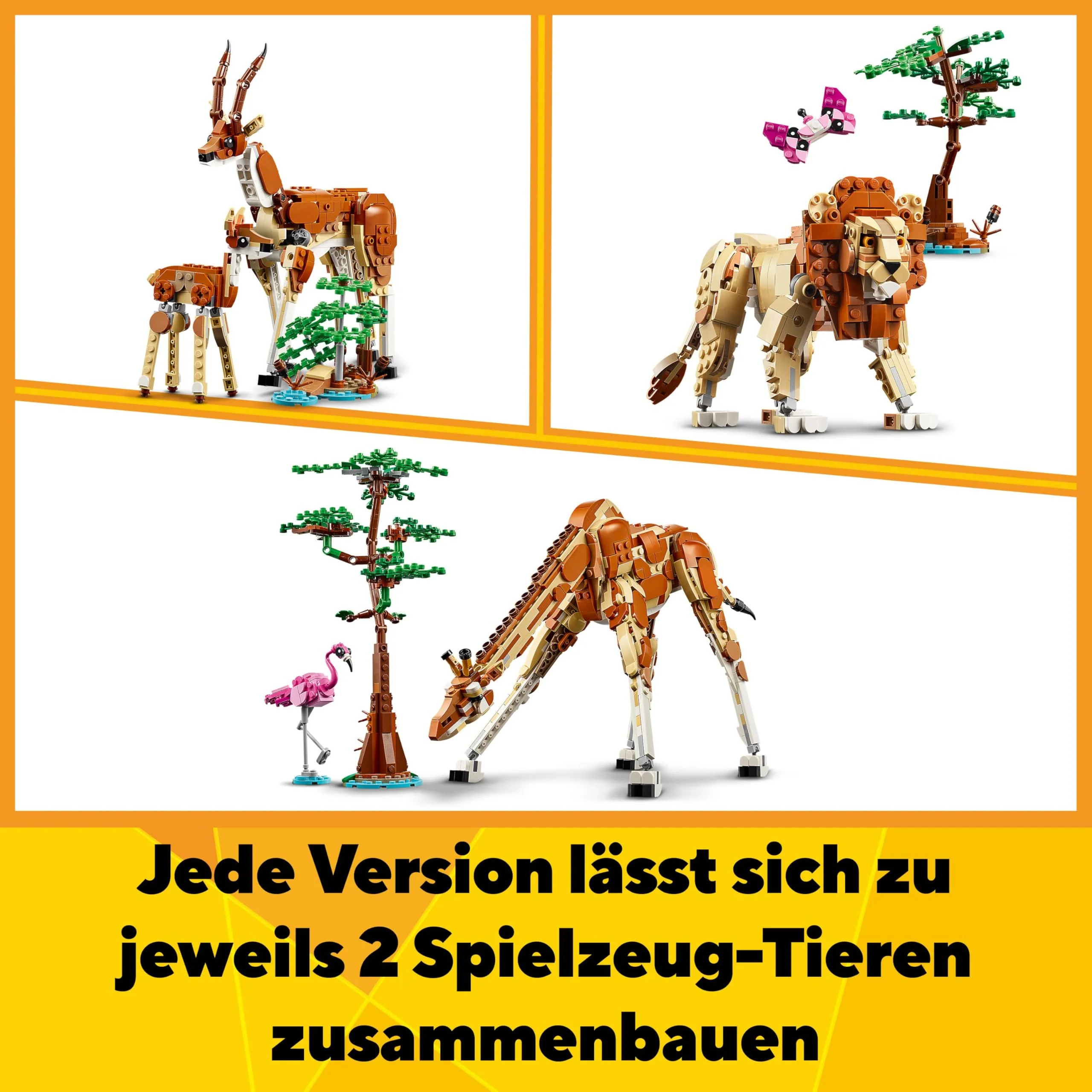 Vorschaubild 9
