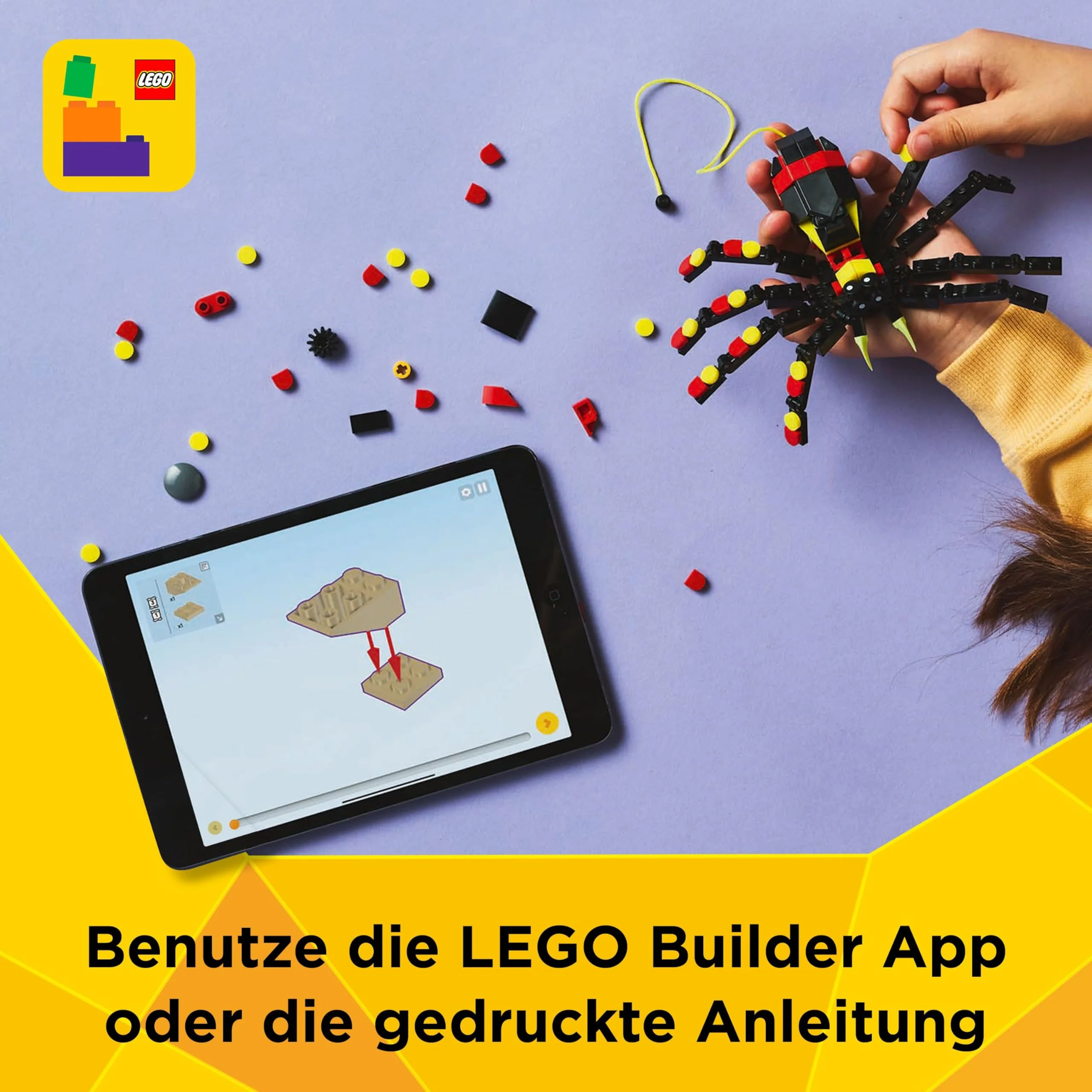 Vorschaubild 7