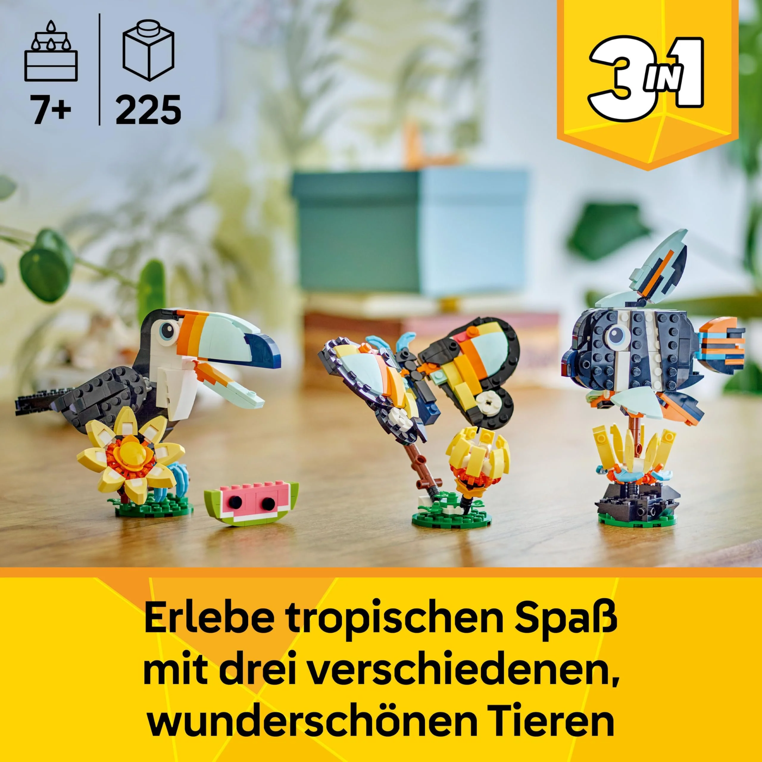 Vorschaubild 9