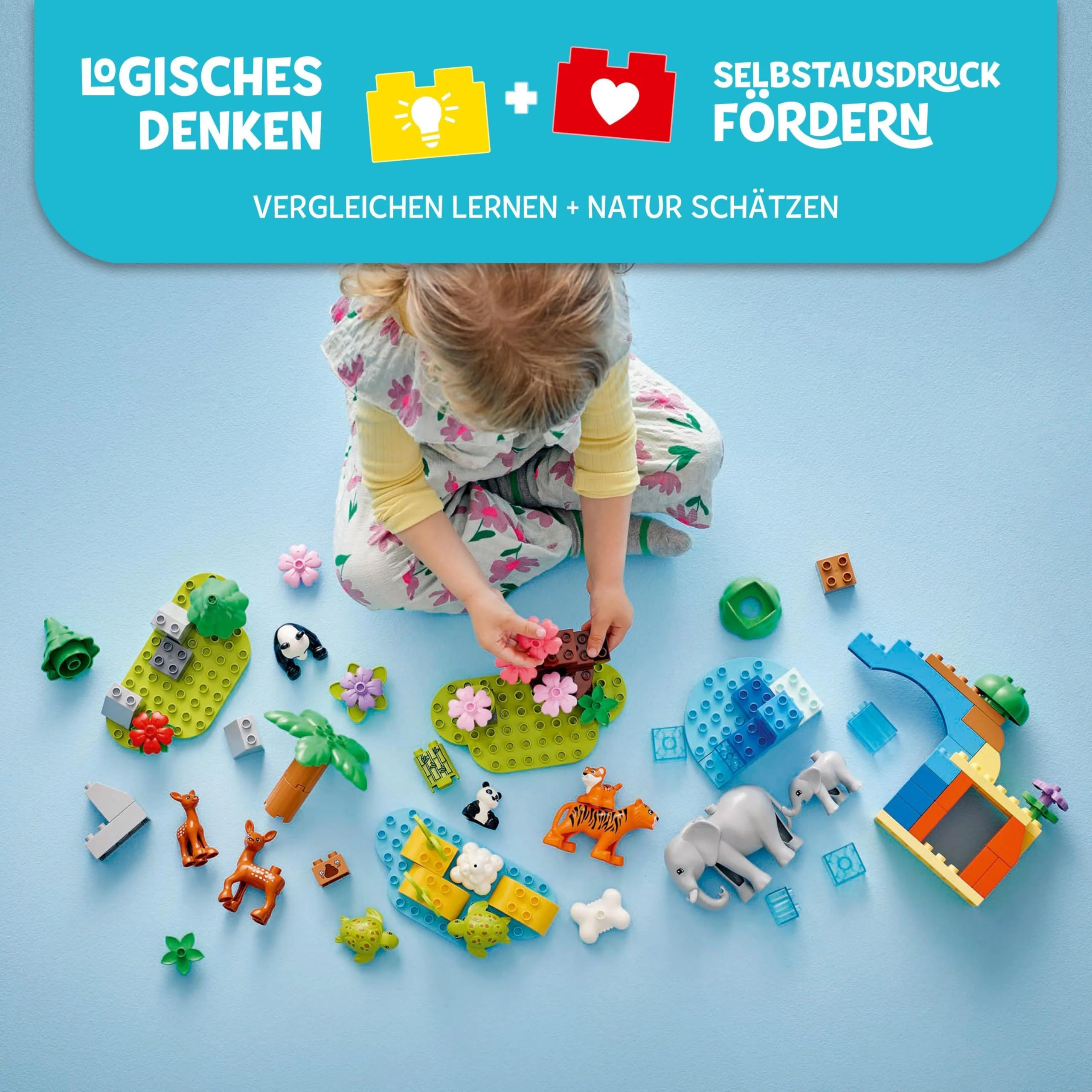 Vorschaubild 10