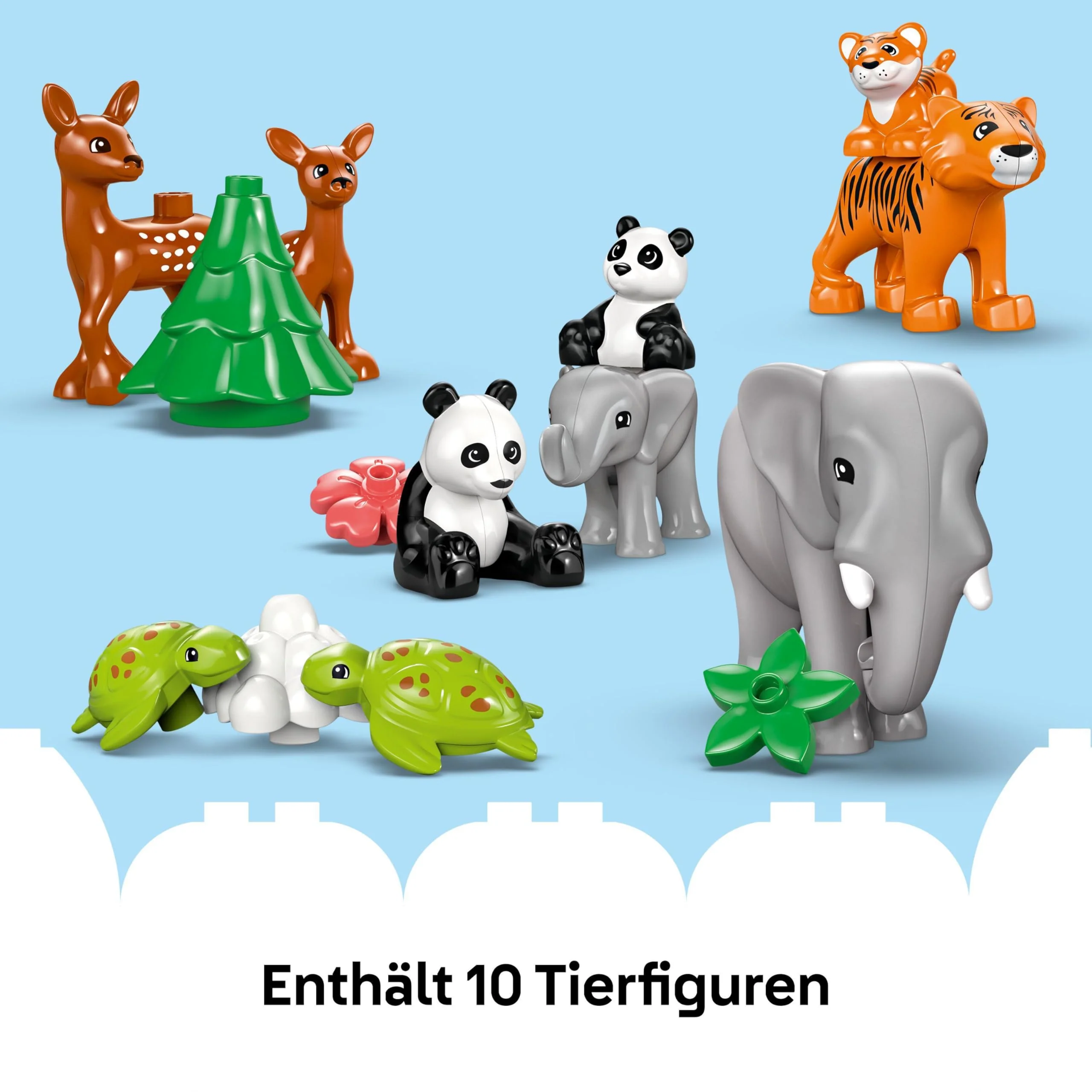Vorschaubild 7