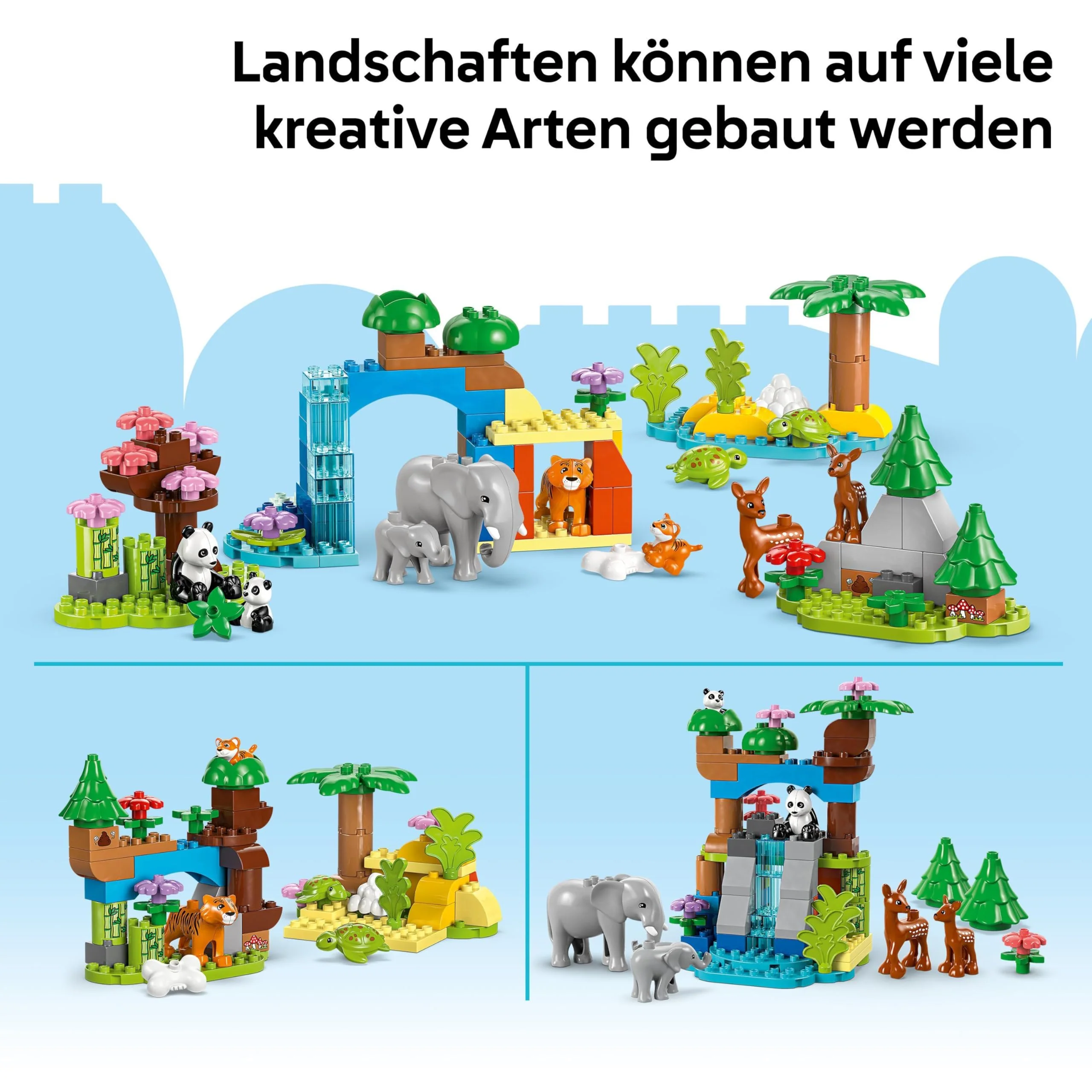 Vorschaubild 8
